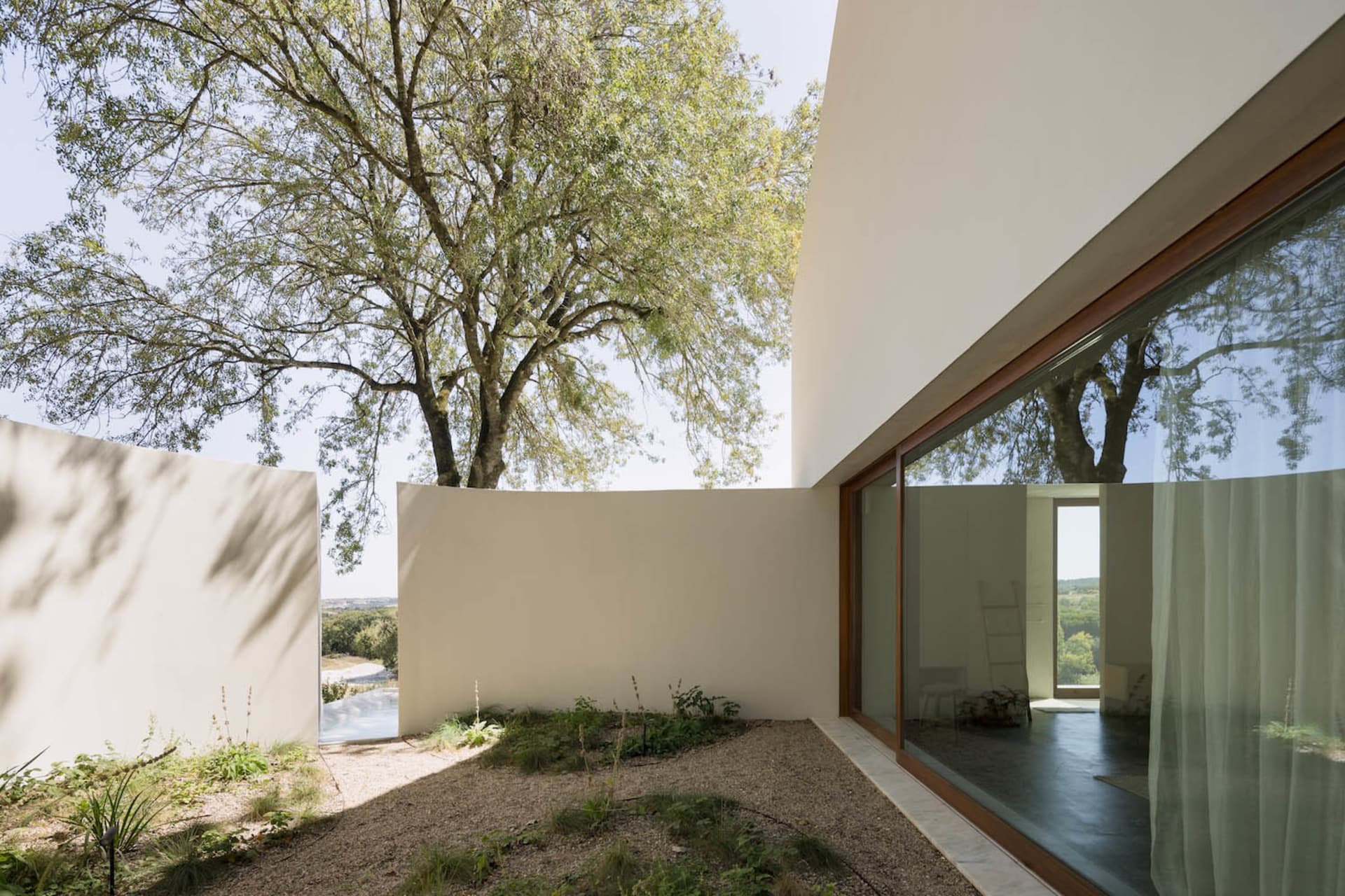 A modern house with a large glass wall and a tree in front, featuring a white exterior and two chairs near the window, with bright and inviting atmosphere and ample natural light