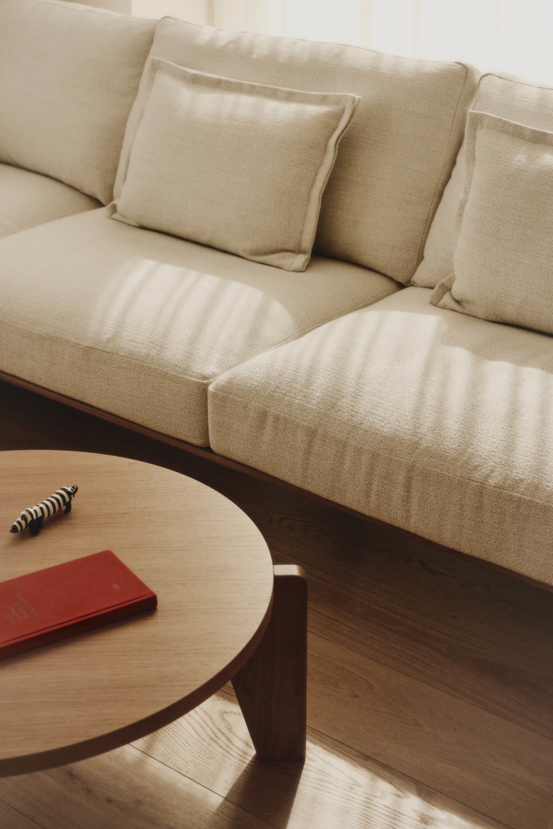 Cozy living room with two couches, pillows, and a book, set against a neutral background
