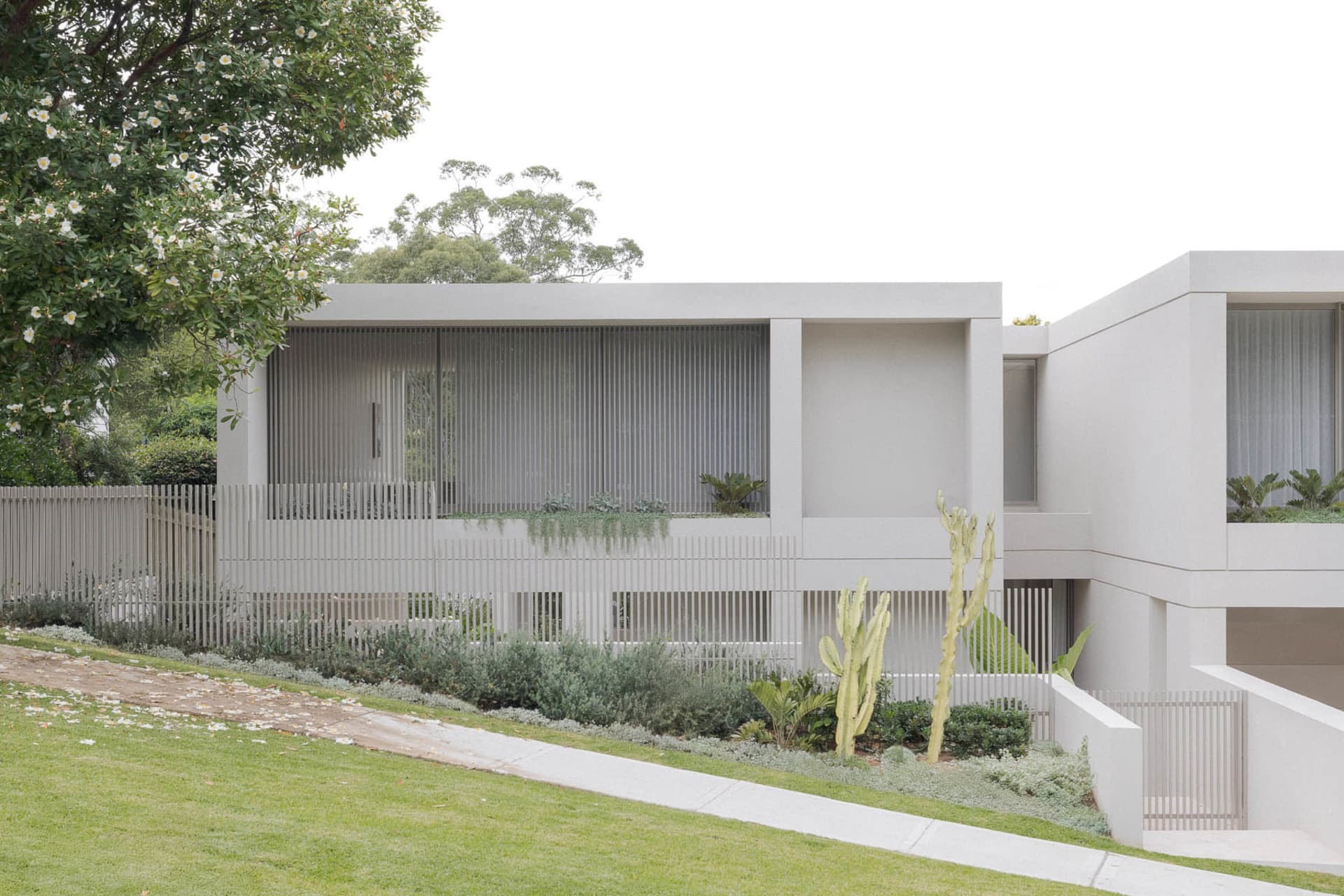A modern house with a white exterior, gray accents, and several windows, surrounded by two potted plants near the left and right sides