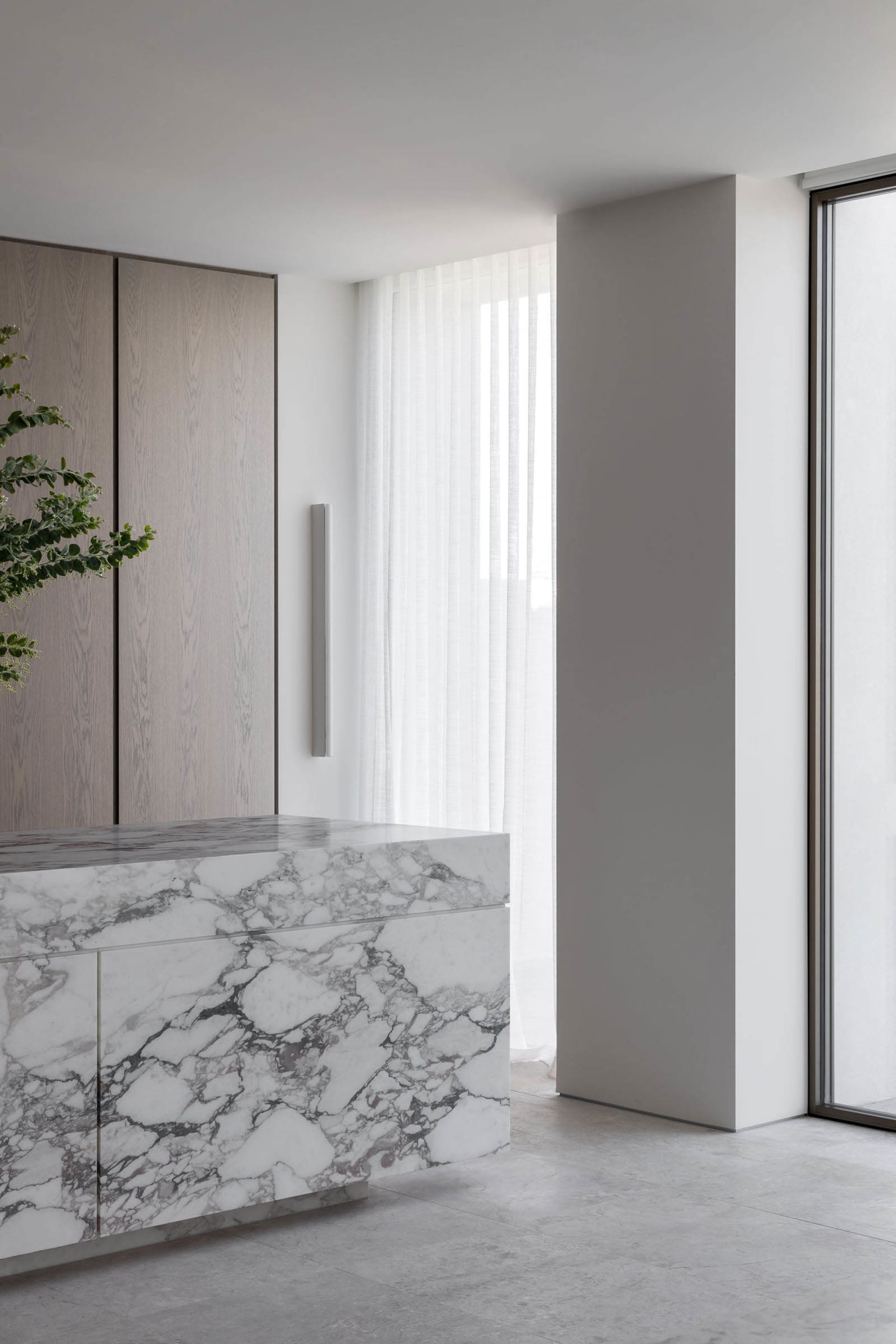A modern kitchen with a large white marble countertop, two potted plants, and a clean atmosphere