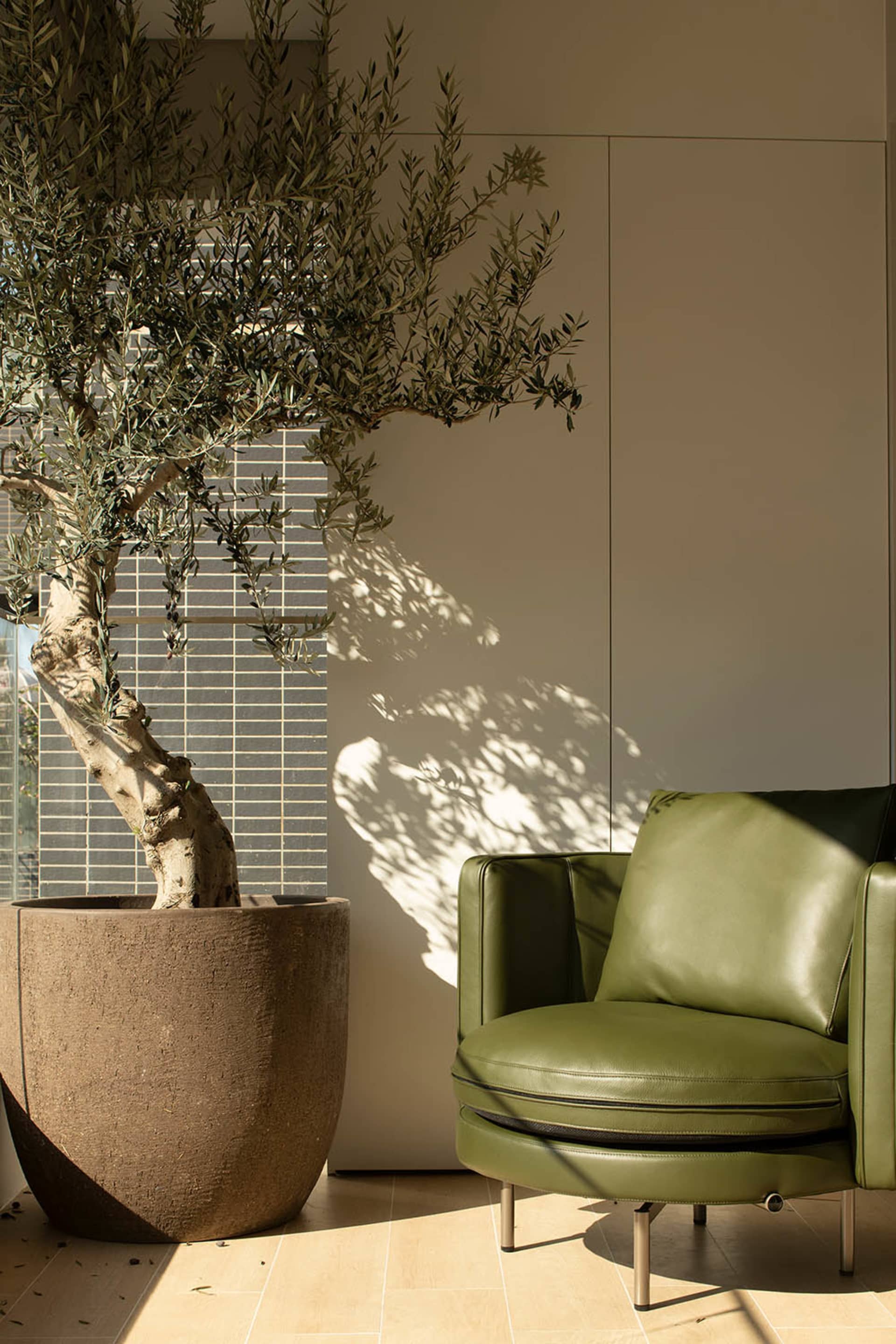 Cozy living room with a green leather chair, a large tree, and natural light from a window, featuring a modern and minimalist style with a focus on simplicity and clean lines