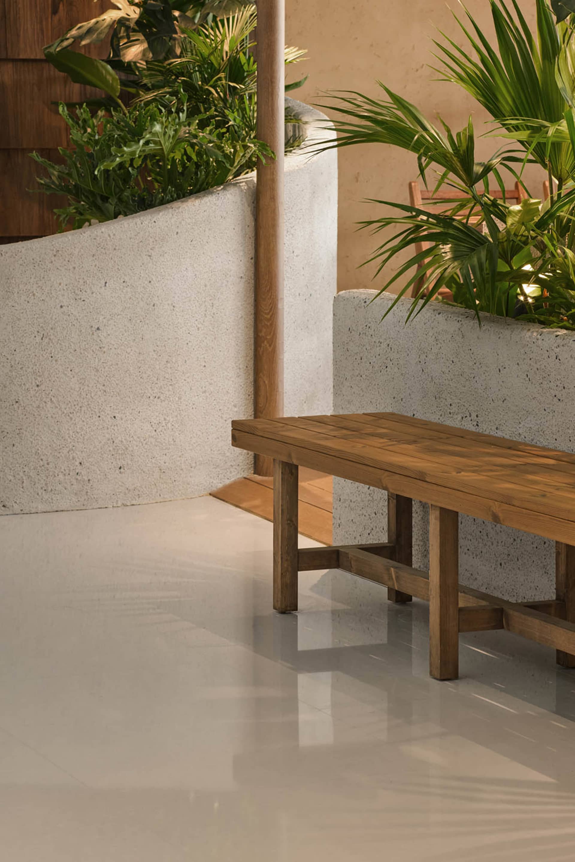 Cozy living space with a wooden bench and a potted plant, surrounded by a chair and a warm atmosphere