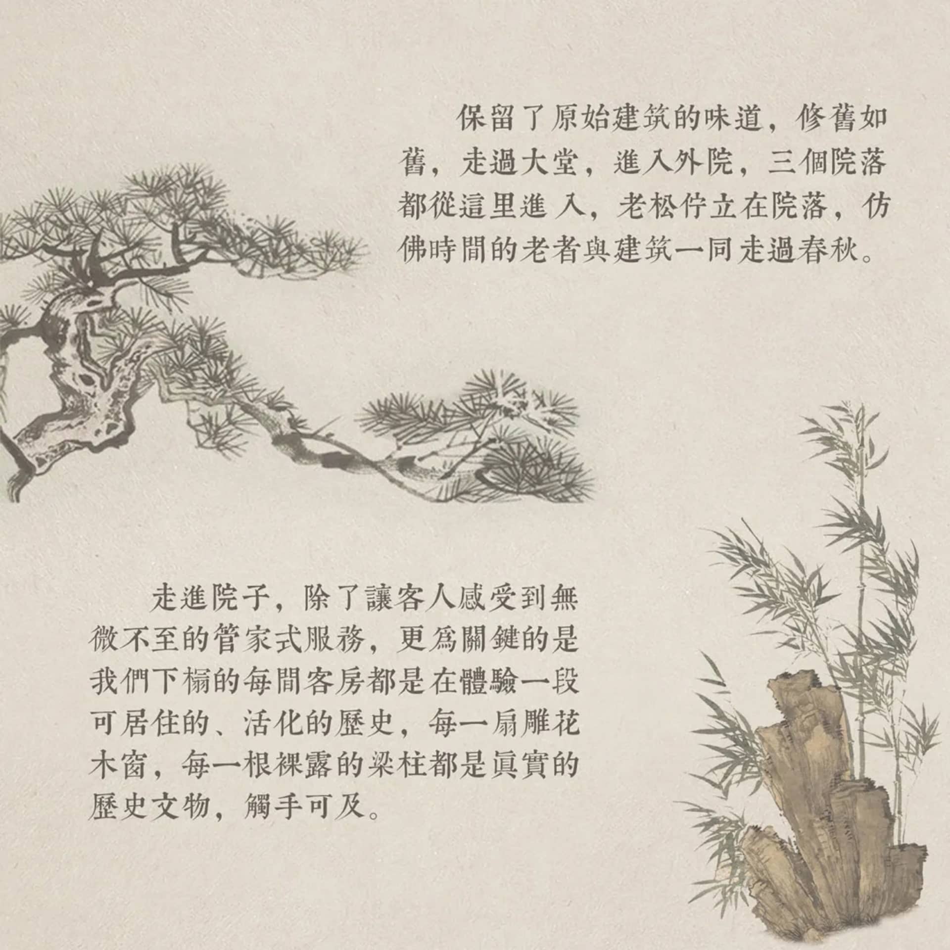 A garden with a tree and a rock in front of it, surrounded by a pine tree and other natural elements