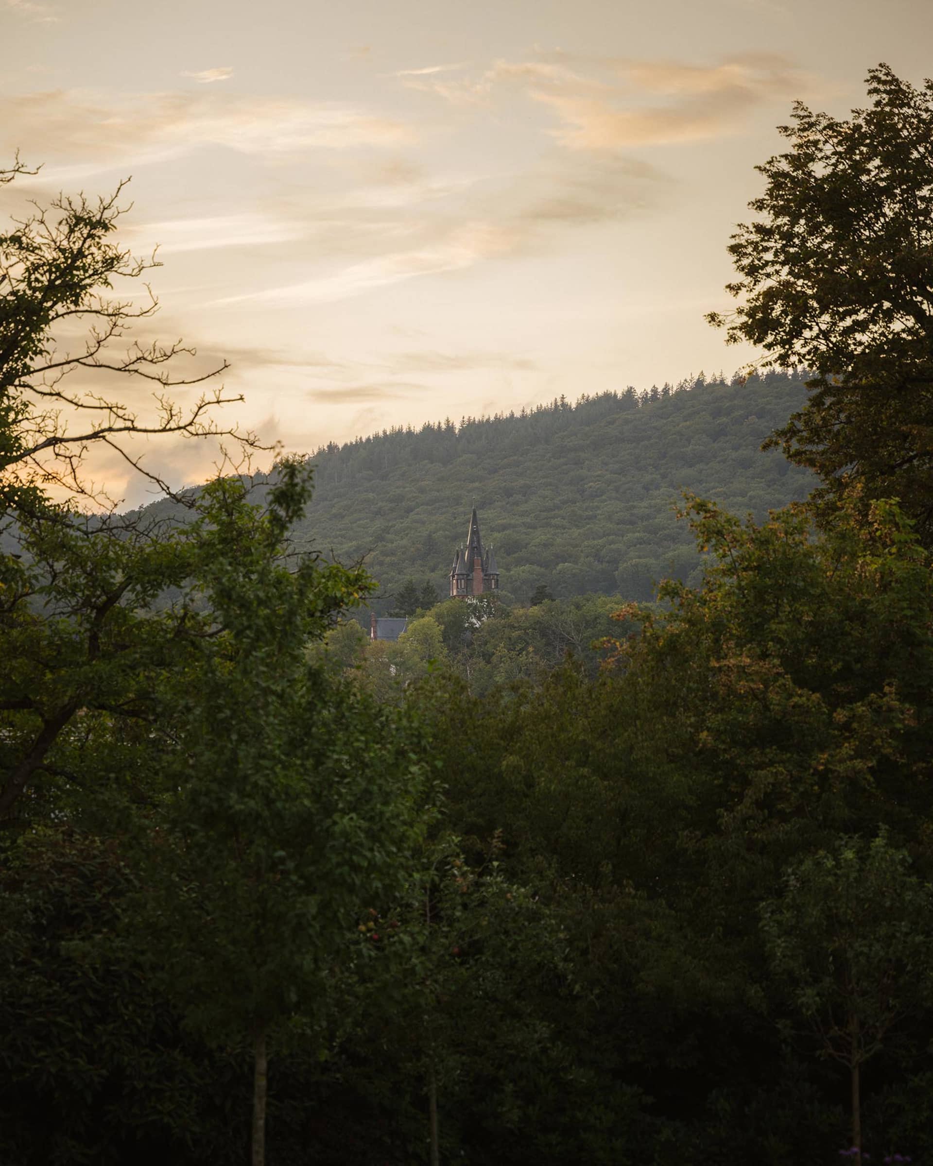 A serene church with a red brick exterior, set amidst a forest with towering trees and a prominent steeple
