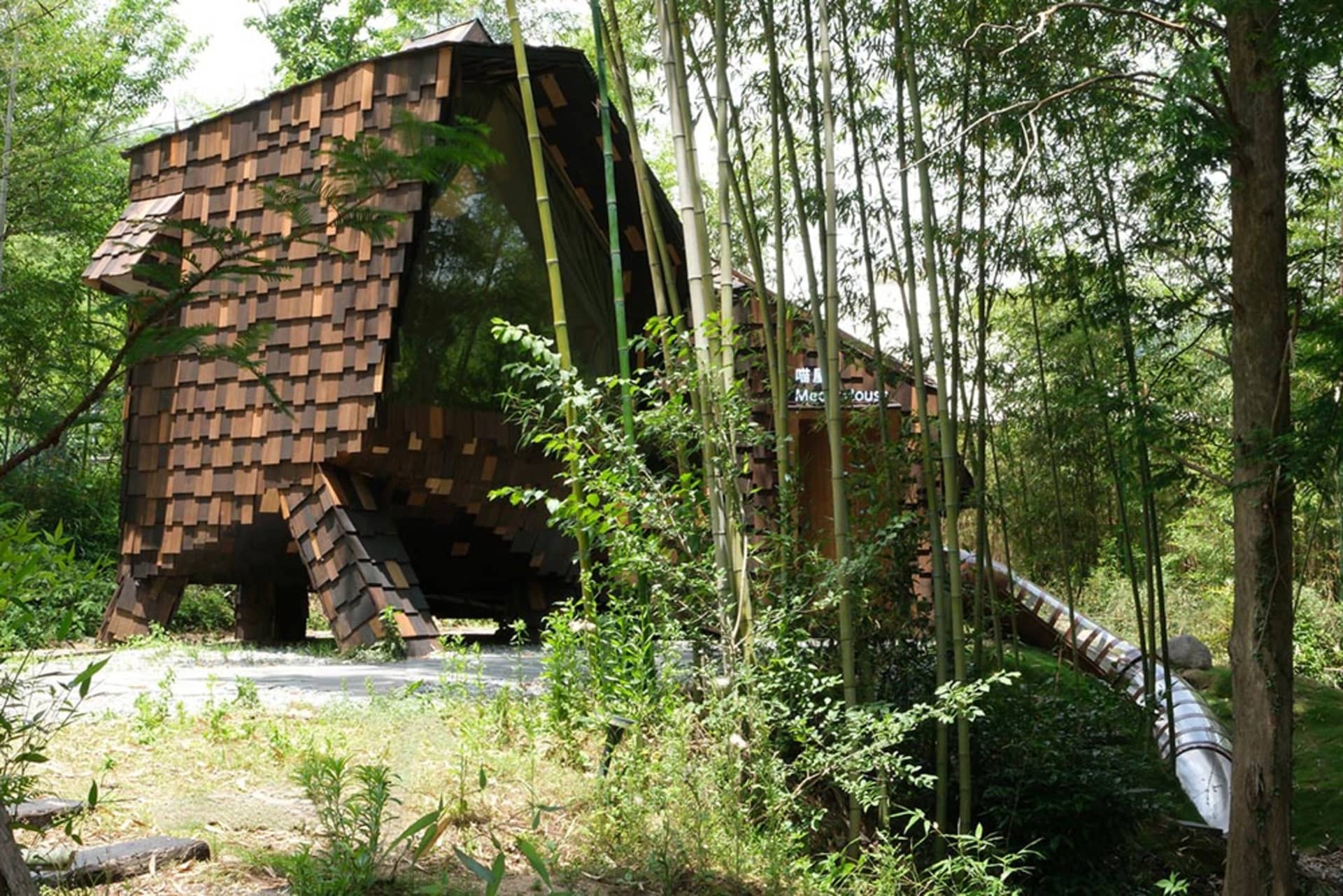 A modern minimalist house with a wooden structure, surrounded by trees, featuring a large window and natural light