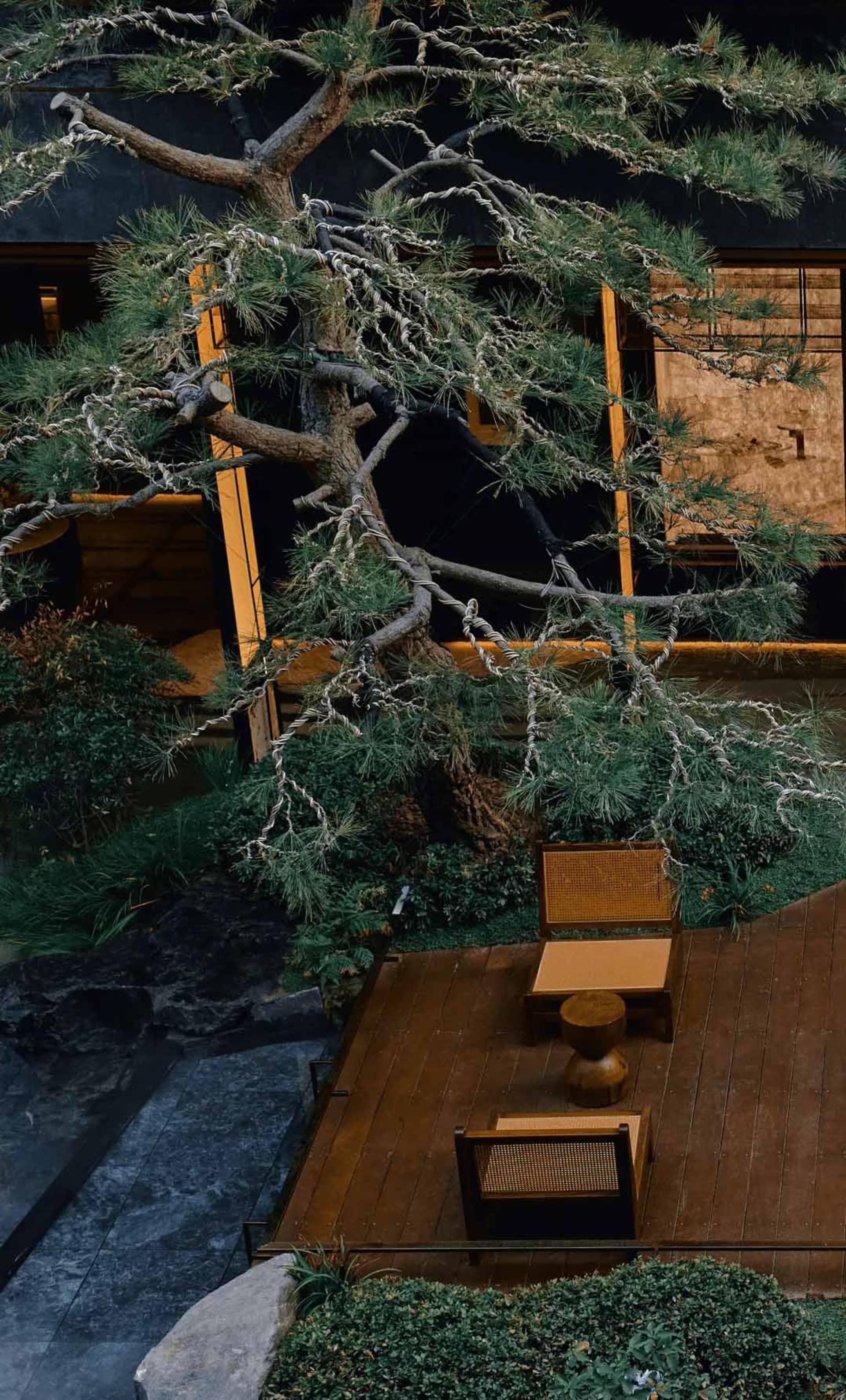 A cozy living space with a wooden floor, a bench, chair, and dining table, surrounded by a large tree and natural light from the window