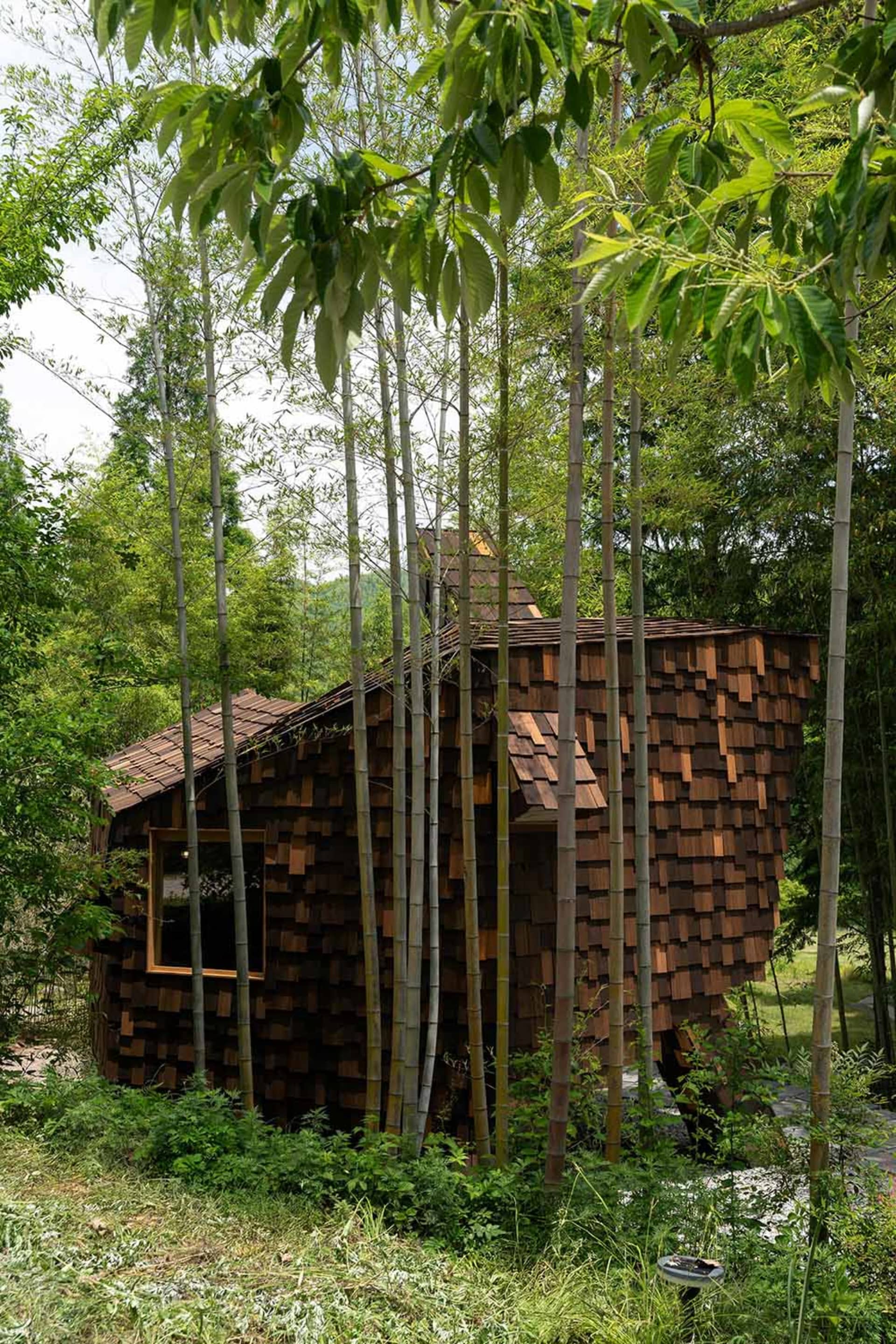 Photograph of a house with a wooden exterior, surrounded by trees, featuring a unique design with a sloping roof and wooden structure