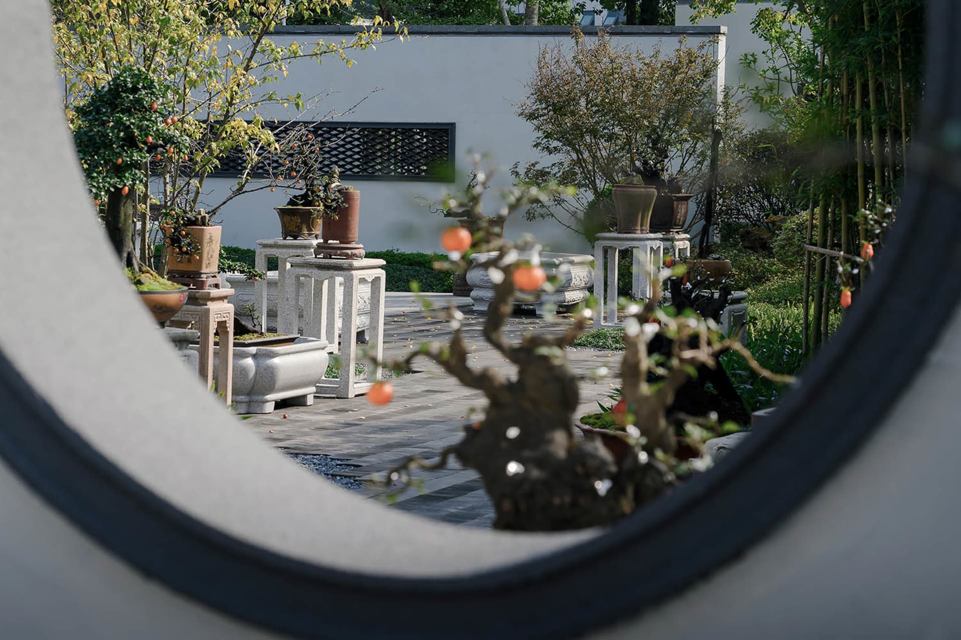 a serene garden with potted plants, trees, and a bench in front of a white building