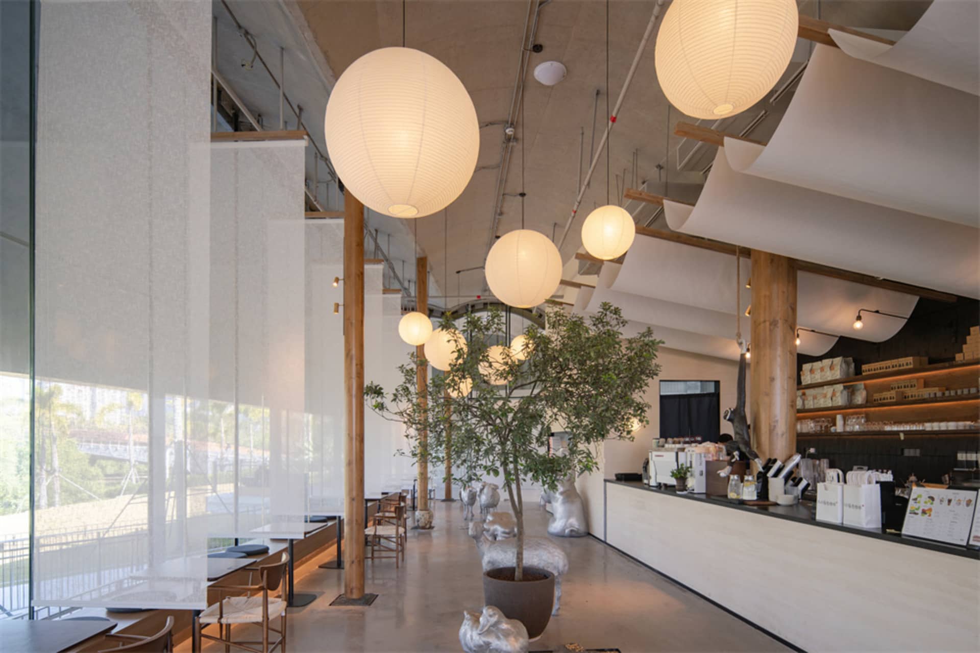 A large dining space with a high ceiling, white lights, a dining table, chairs, and a potted plant, creating a bright and welcoming atmosphere