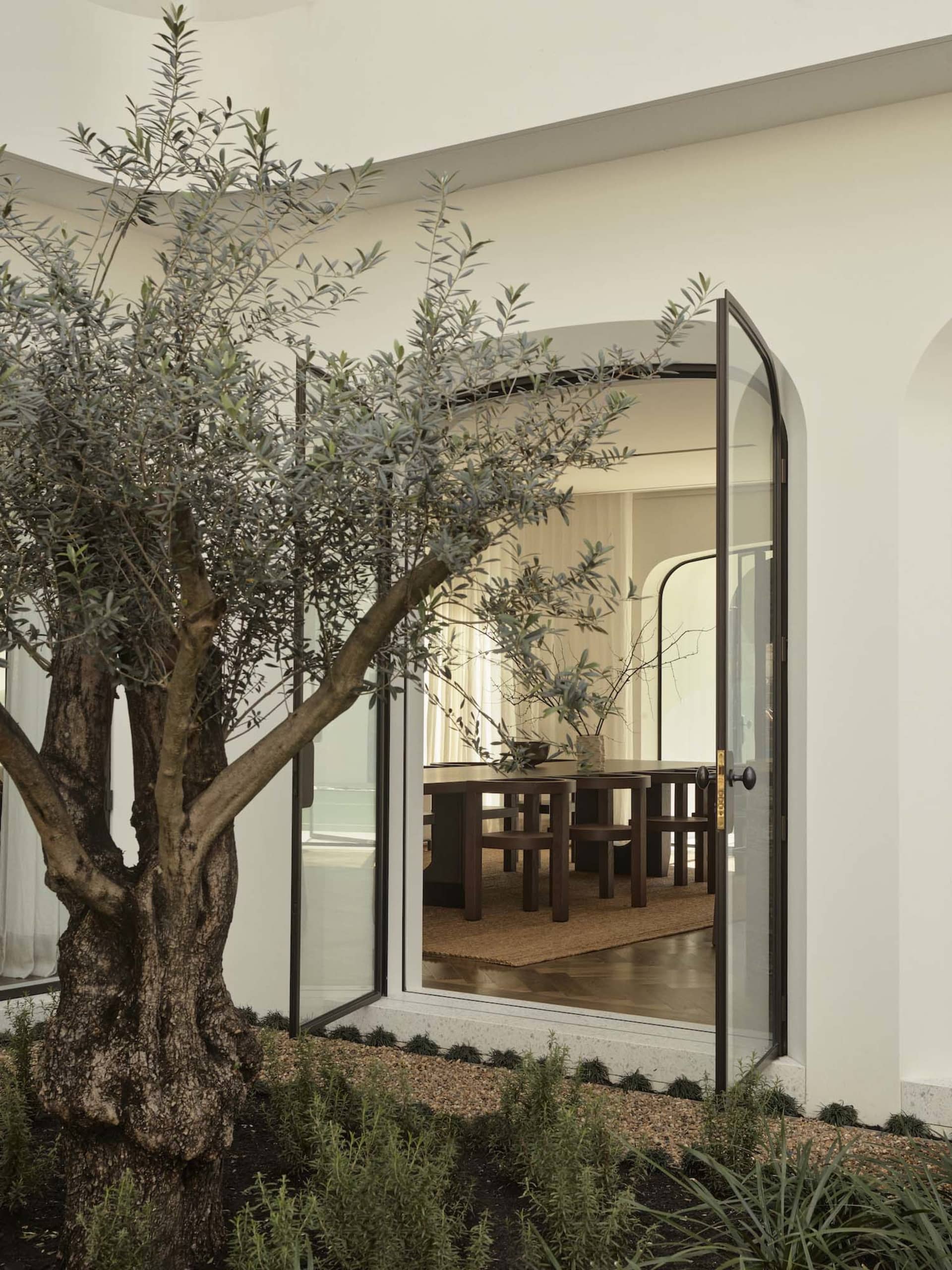 Dining area with a wooden table and chairs, surrounded by a large tree, a potted plant, and natural light from the window