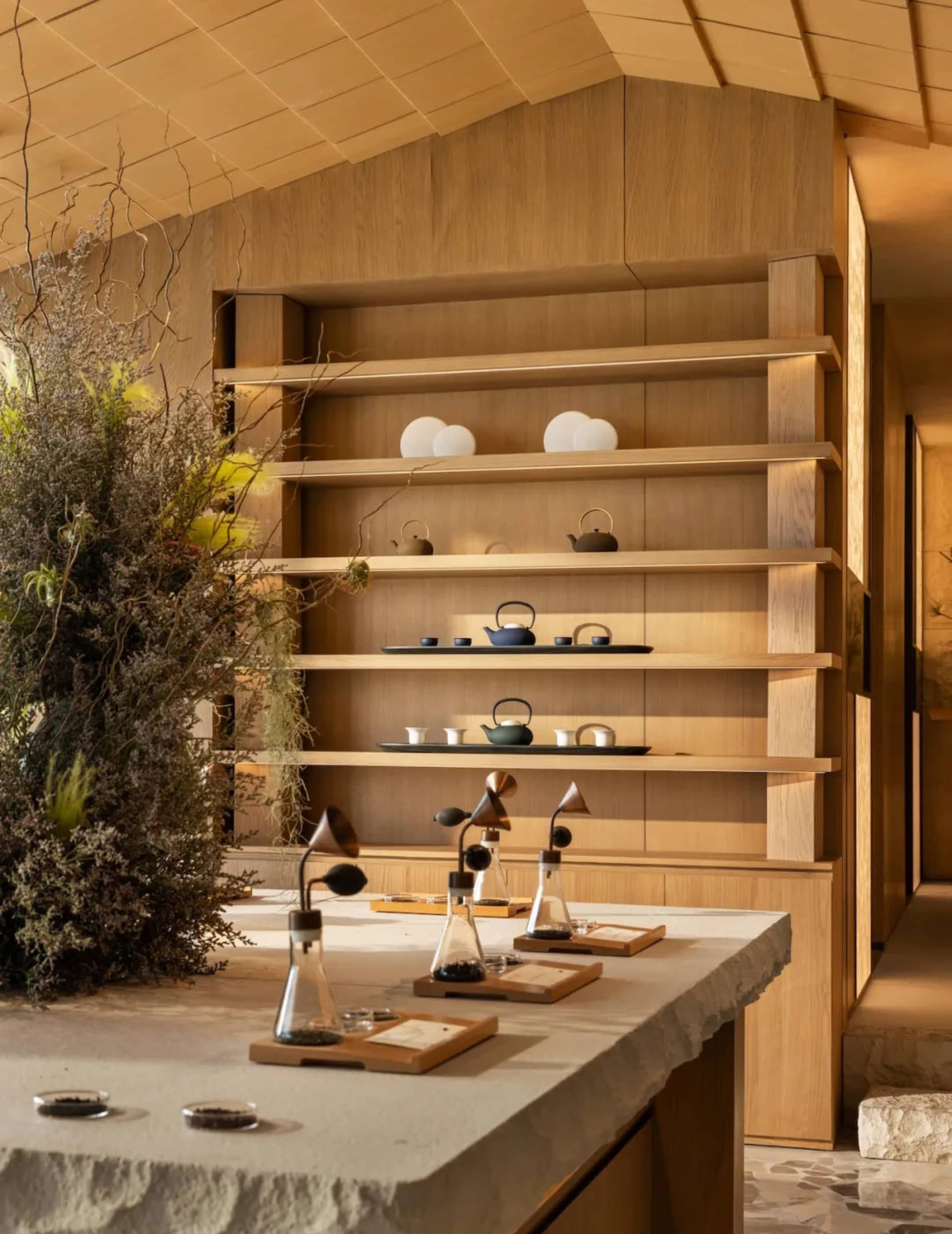 A modern kitchen dining area with wooden walls and shelves, featuring multiple cups and bowls, and natural light from a window