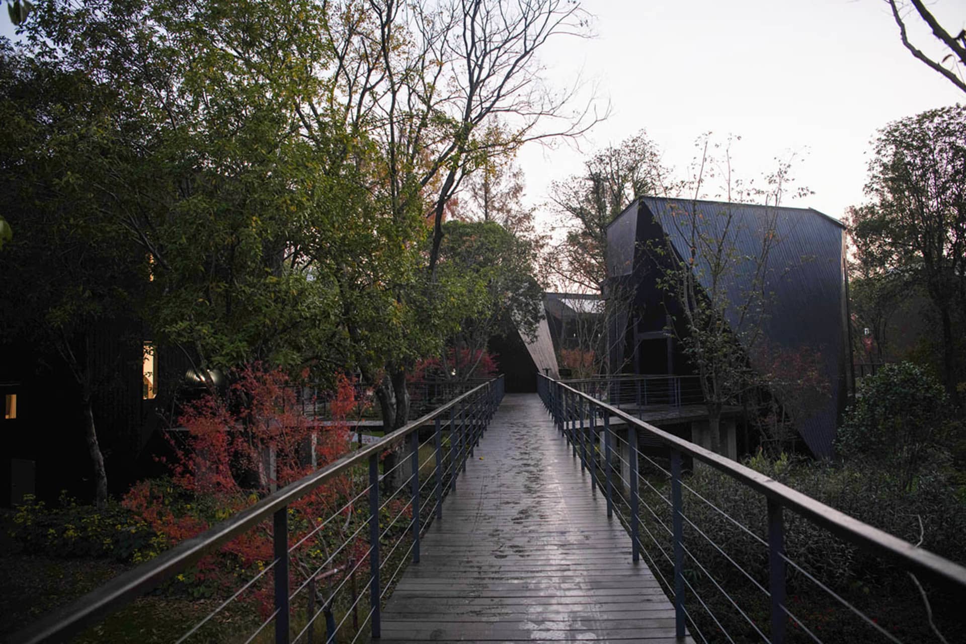 A serene forest scene with a wooden bridge surrounded by trees, with natural lighting and wet wooden deck