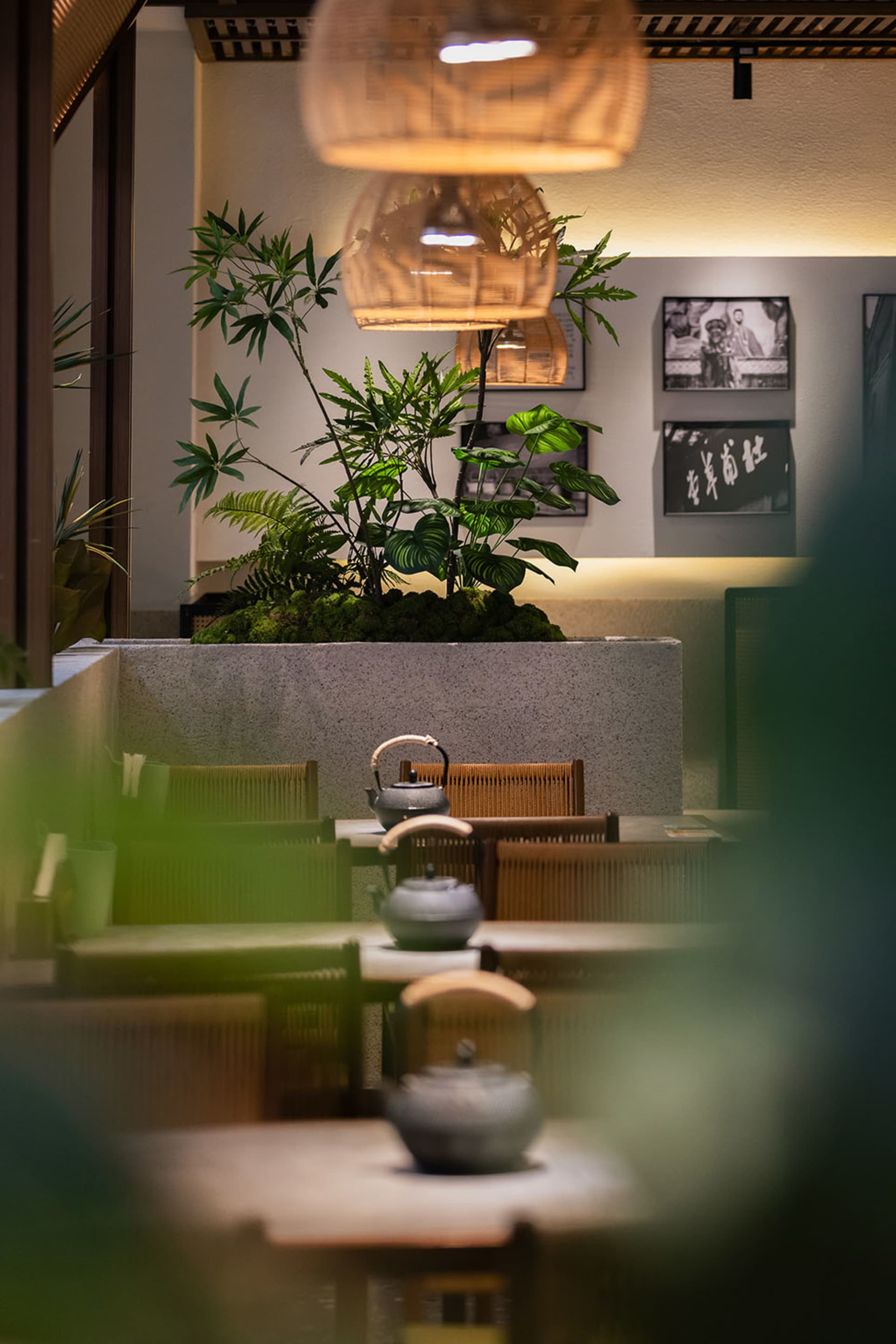 A dimly lit restaurant with modern decor, potted plants, and comfortable seating for multiple guests