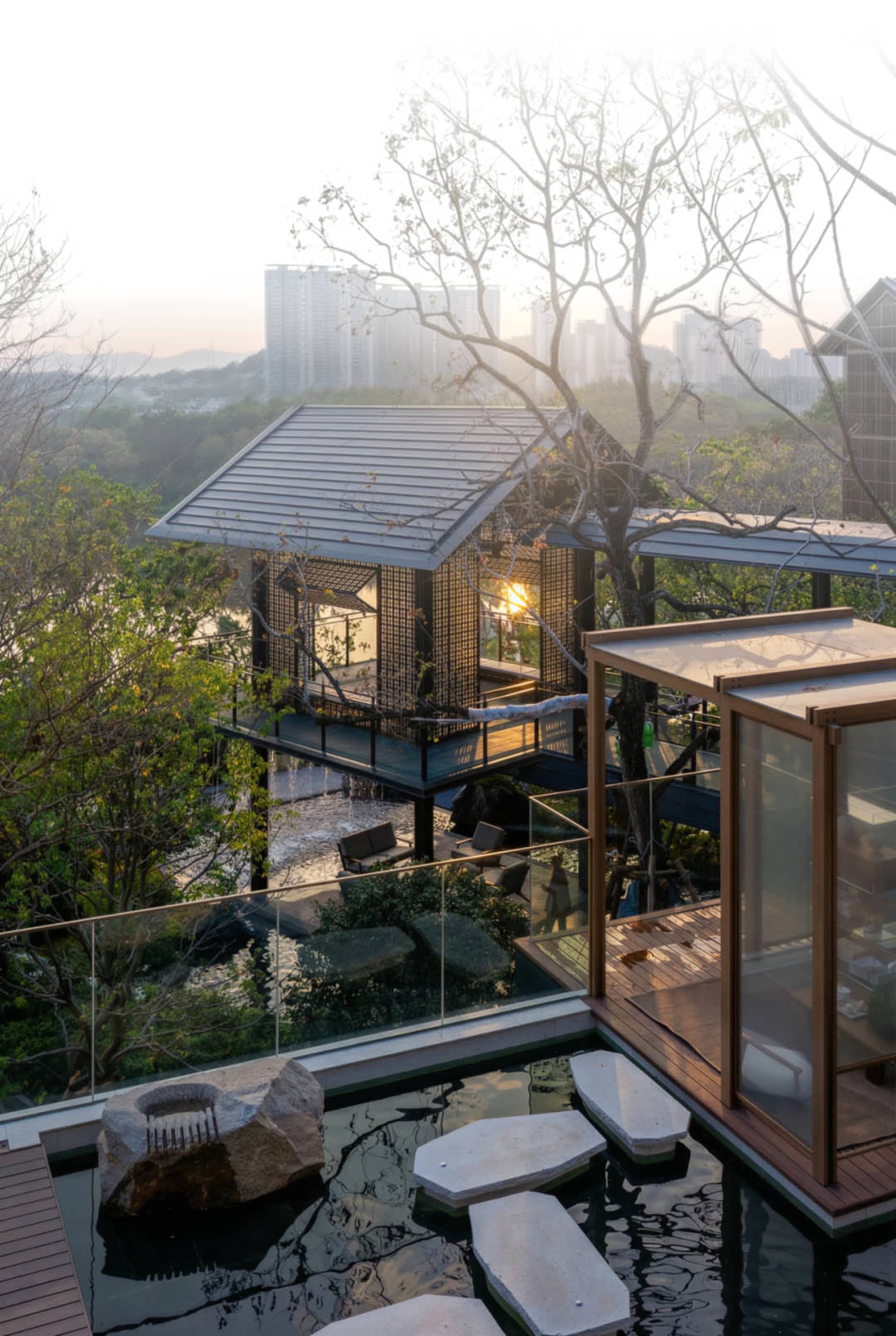 A modern house with a glass-walled living room and patio, surrounded by a wooded area, featuring a couch, dining table, pool, and natural lighting