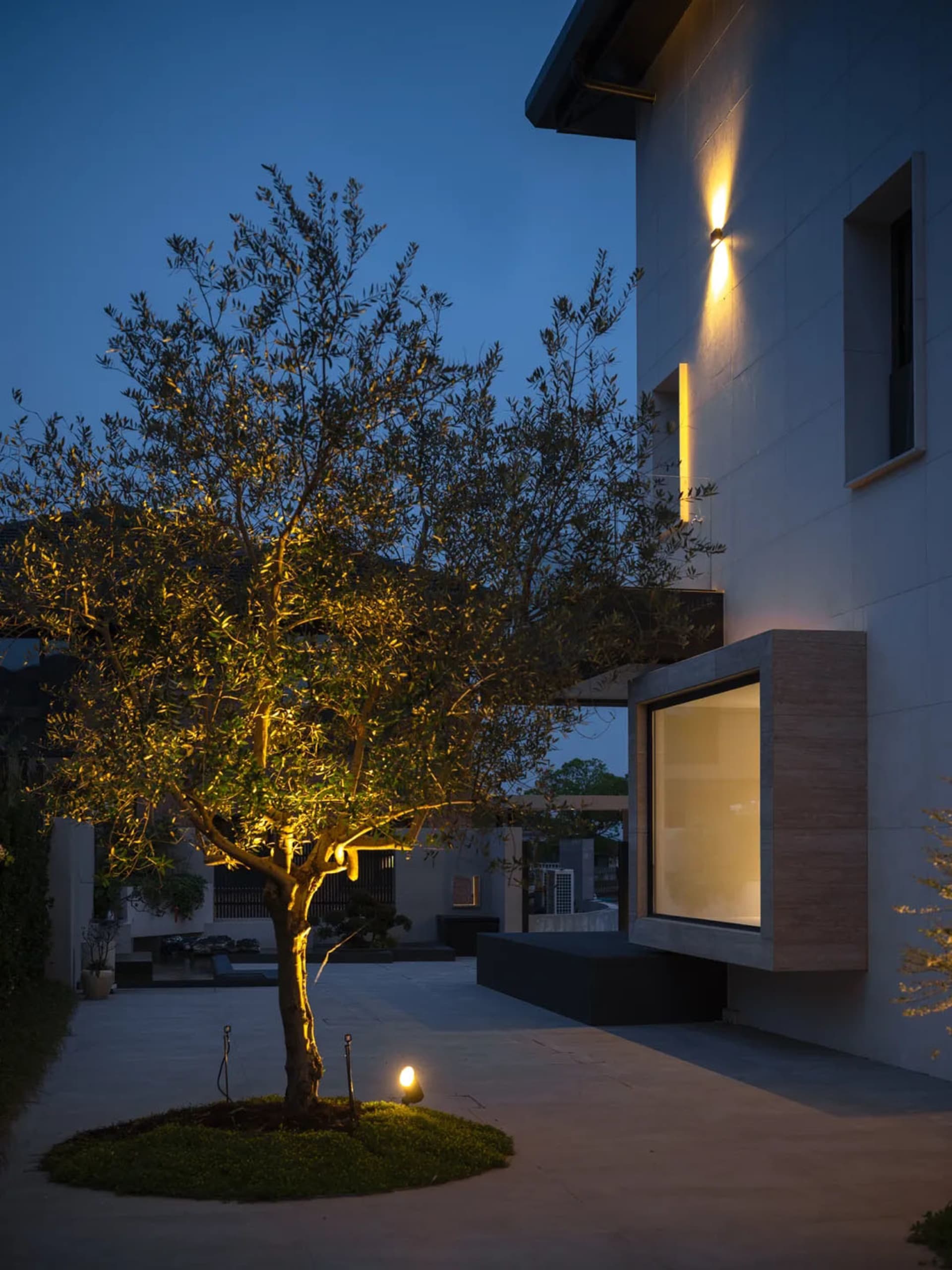 A serene outdoor space with a modern building, a large tree, and a bench, lit by natural light