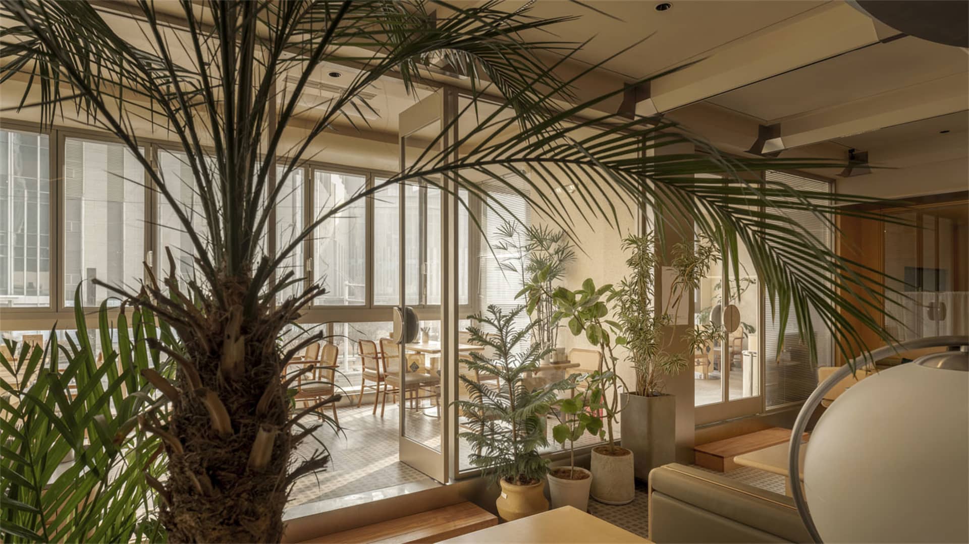 舒適的現代餐廳內部裝潢，植物、桌子、椅子，創造了一個活潑的氣氛