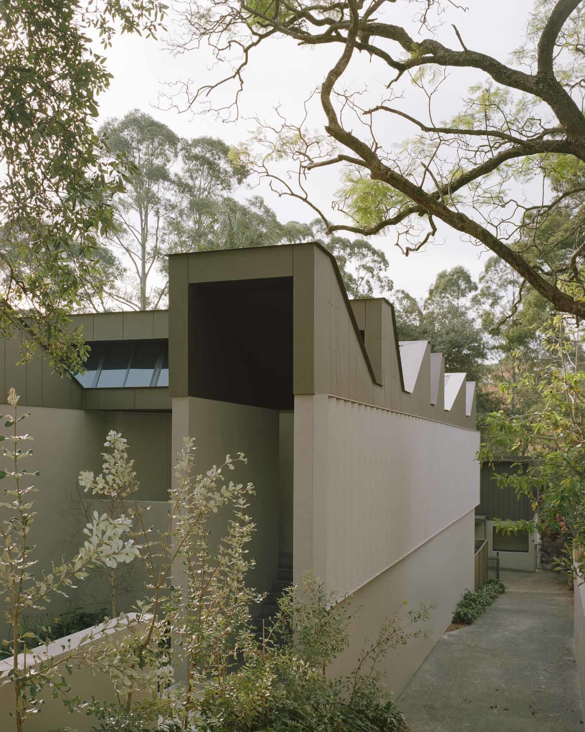 A modern house with a gray exterior, large window, and natural surroundings, featuring a minimalist and functional design with natural materials and simple lines, under soft and diffused lighting