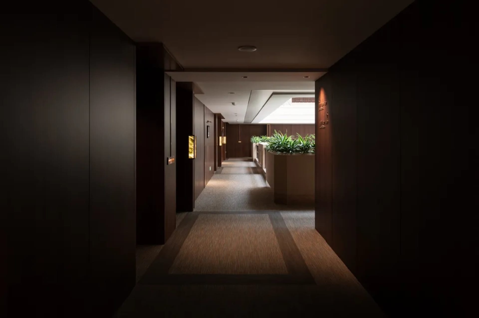 Dimly lit hotel hallway with a carpeted floor, potted plants, and a modern style