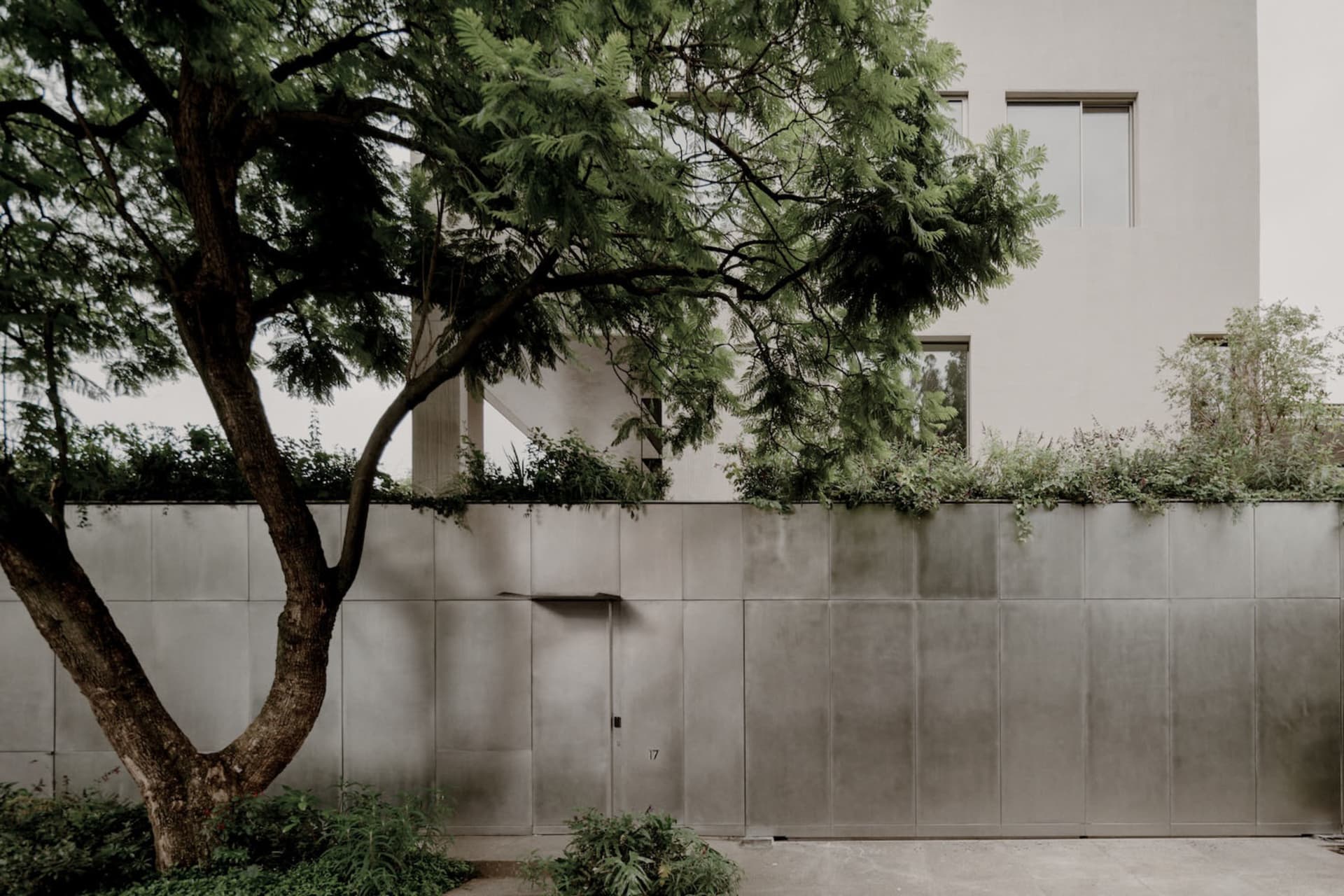 A modern building with a concrete facade and a tree in front, surrounded by plants, with natural sunlight and a calm atmosphere