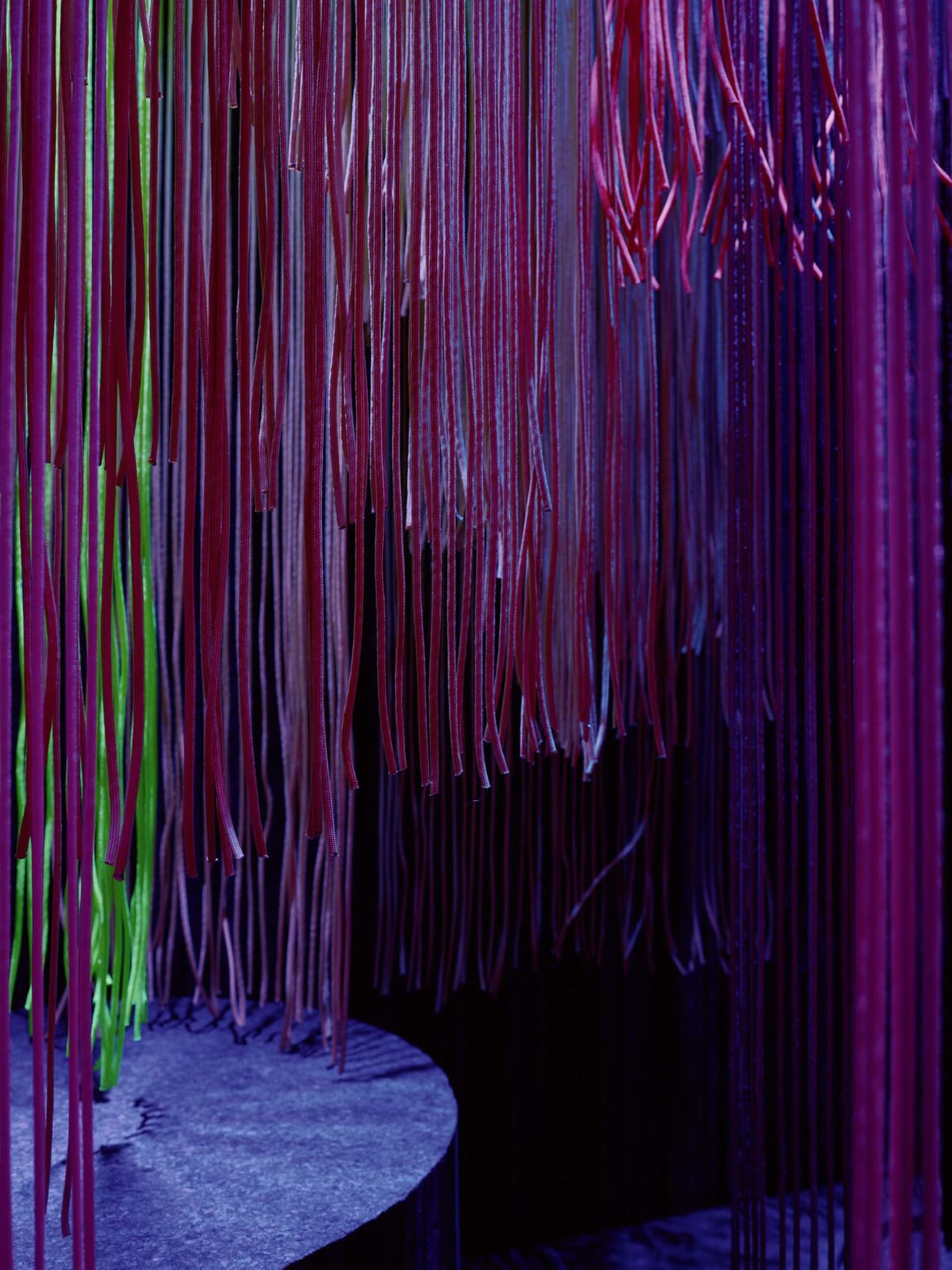 A modern room with a purple and red color scheme, featuring strings hanging from the ceiling in various patterns, with a couch and bed visible, creating a unique and visually striking atmosphere