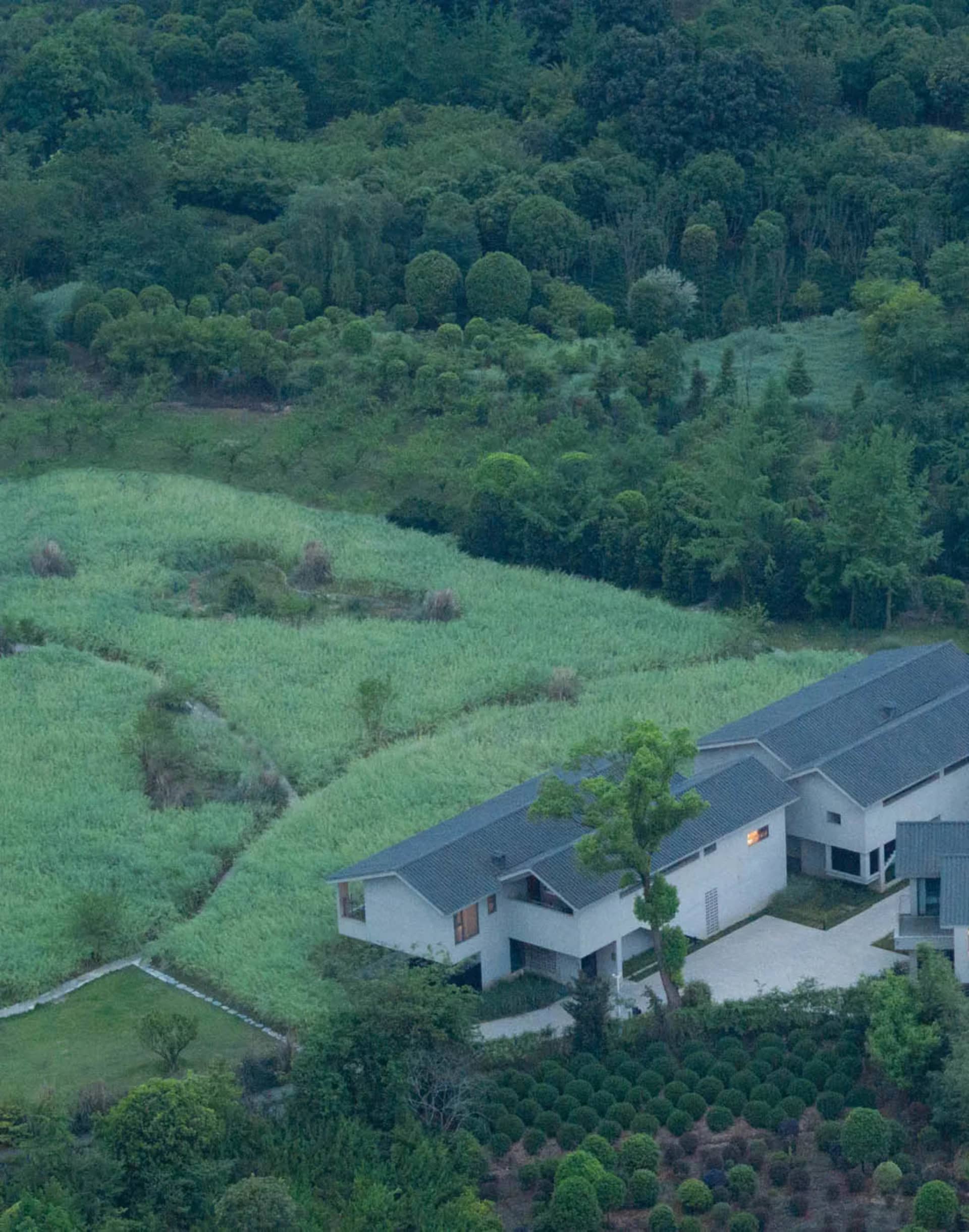A serene and peaceful house with a white exterior and a lush green roof, surrounded by a wooded area and a green field
