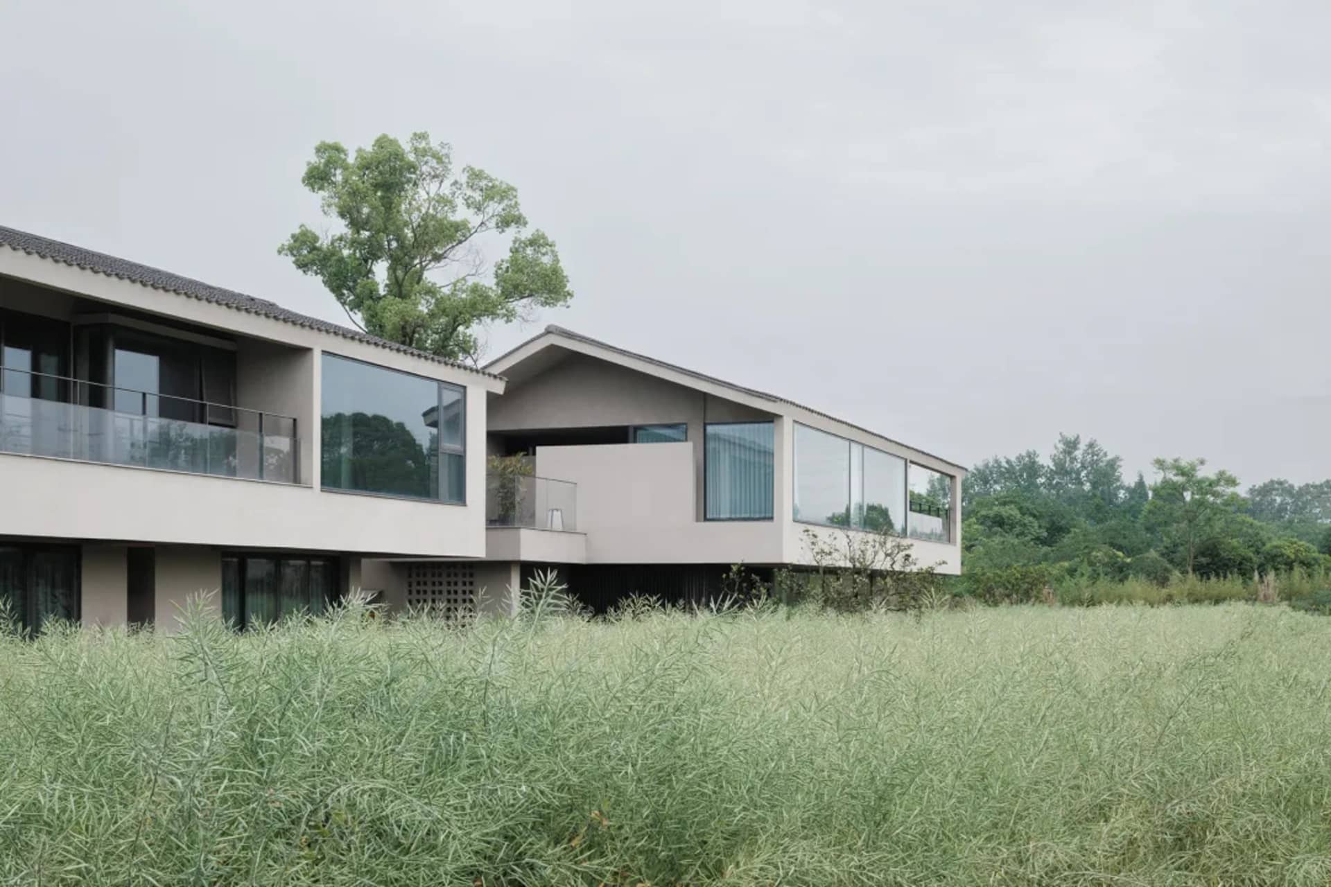 A modern house with a concrete exterior, surrounded by tall grass and trees, with a large window and a calm atmosphere
