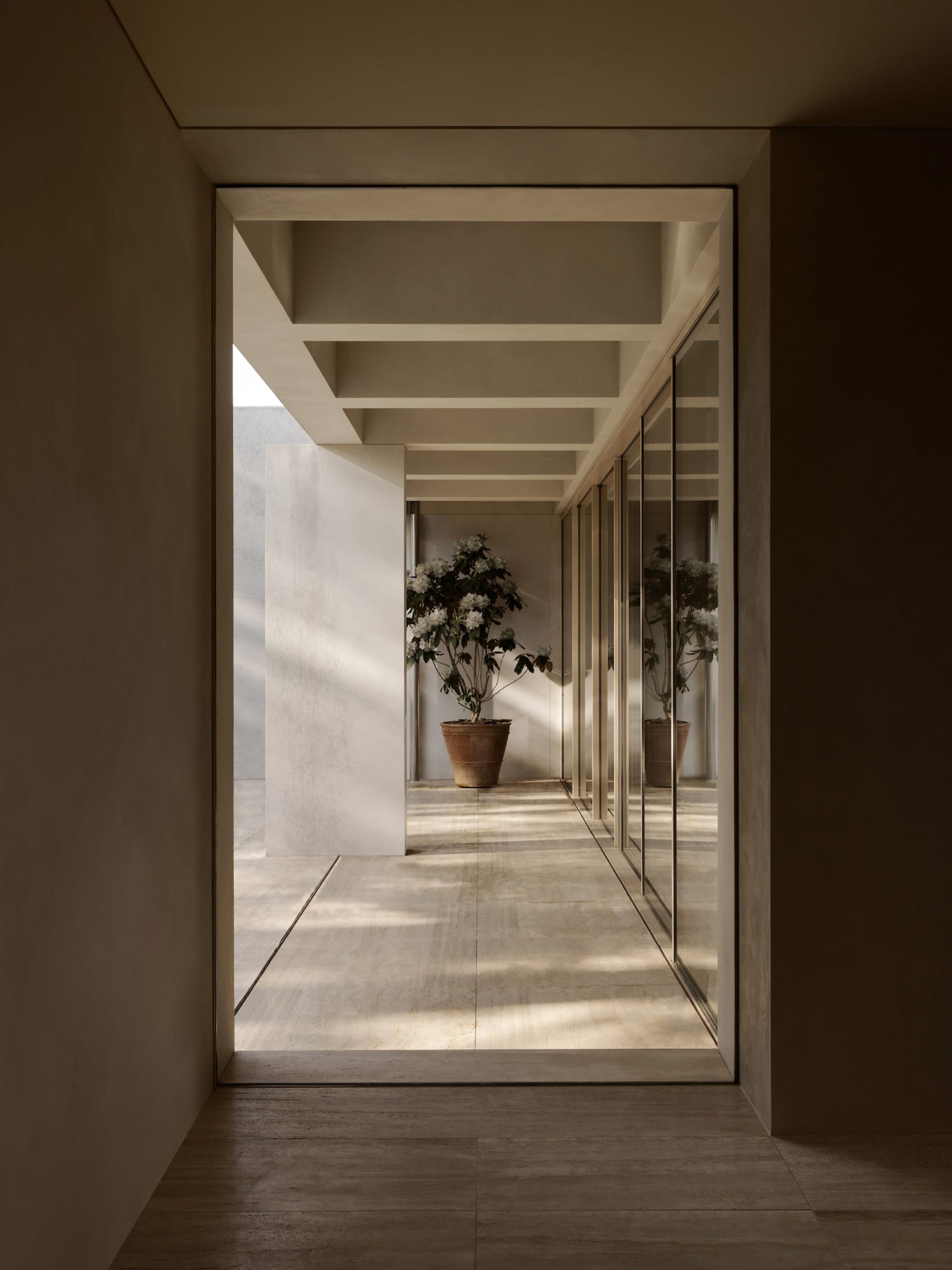 A bright and airy living room with white walls, natural light, and two potted plants, one near the center and one towards the right side, with a large window showcasing an outside view