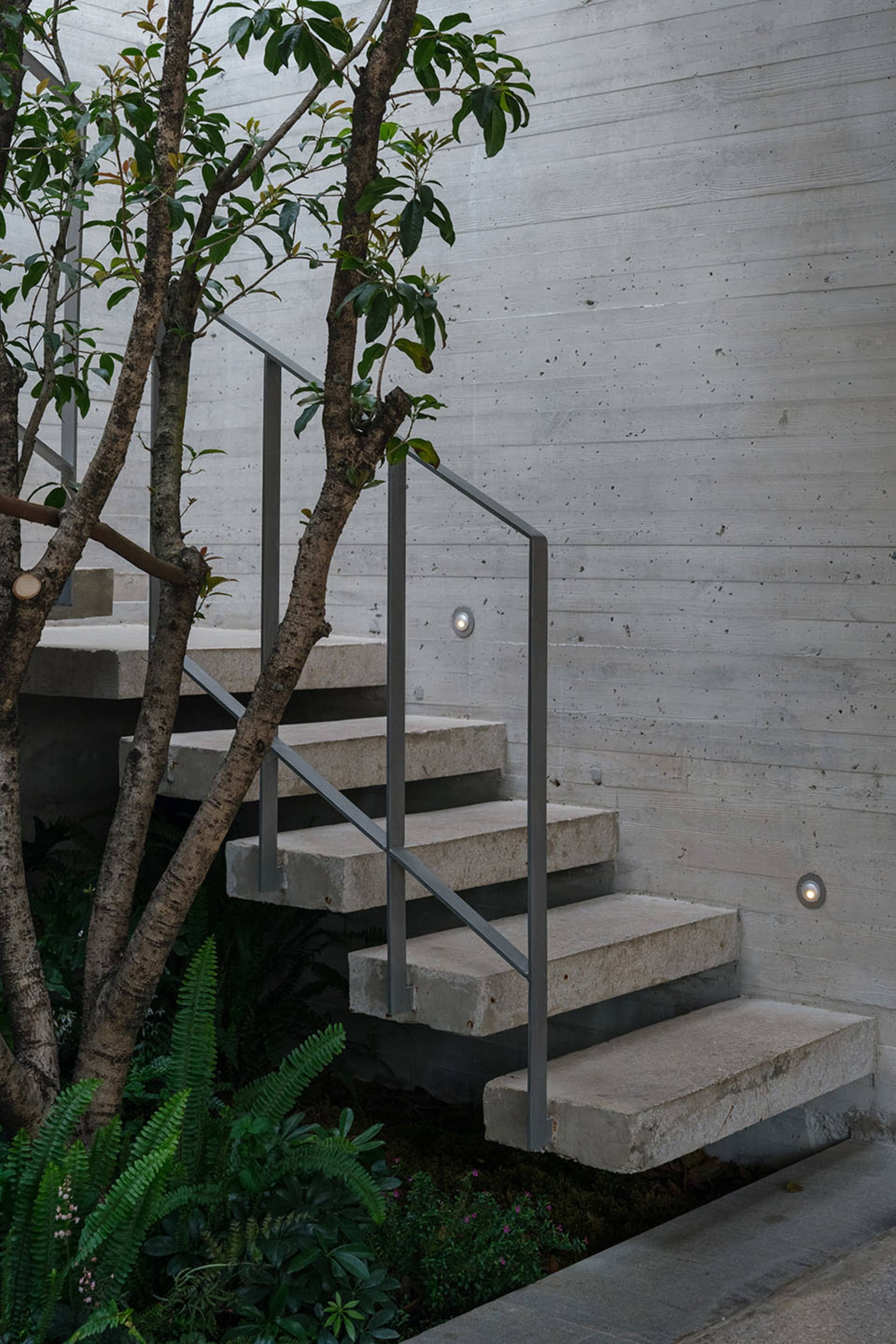 A concrete staircase with a metal railing and a potted tree growing in front of it, set in an outdoor urban scene