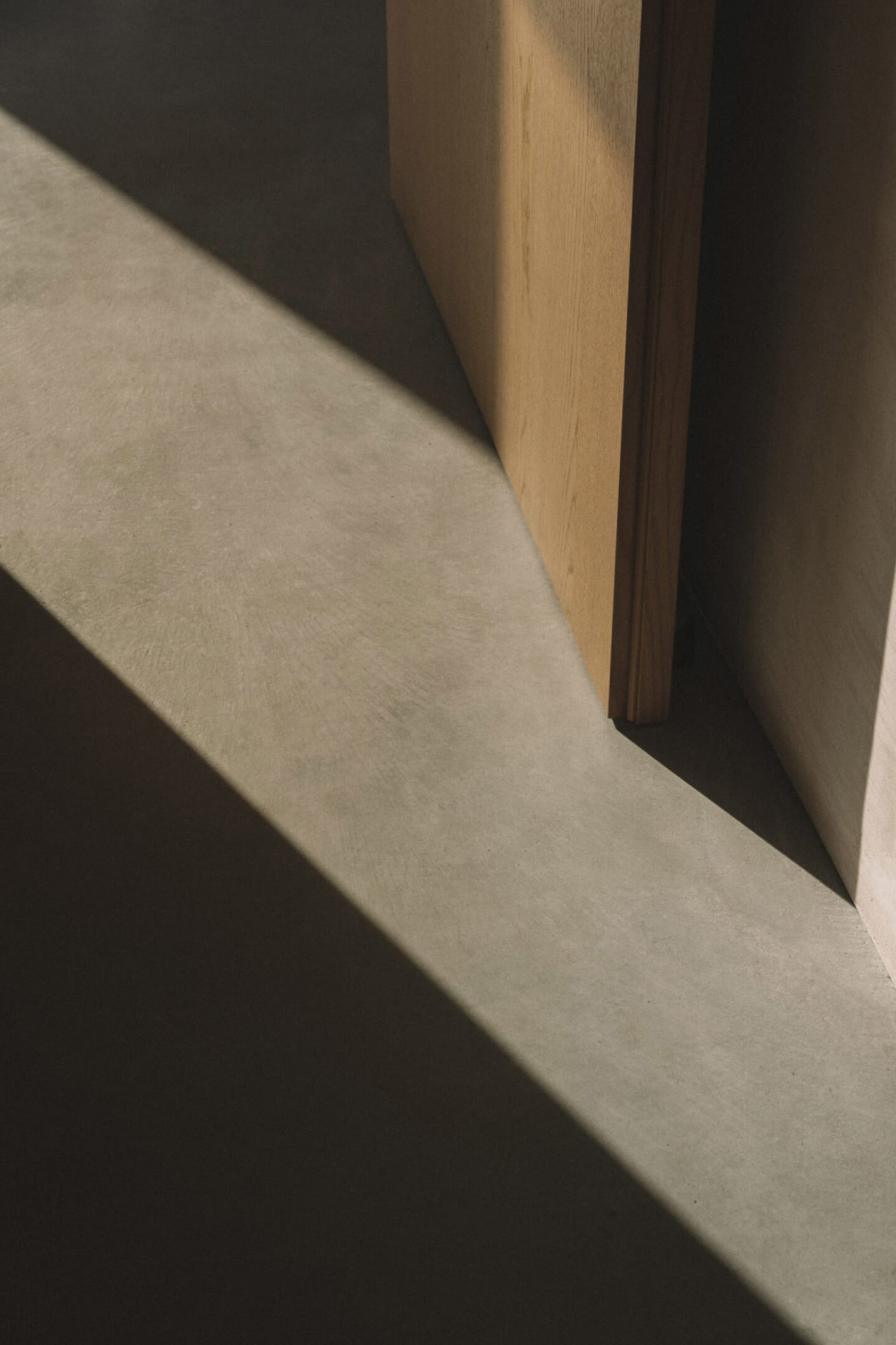 A modern hallway with a wooden door and concrete floor, lit by natural light and a shadow from the open door