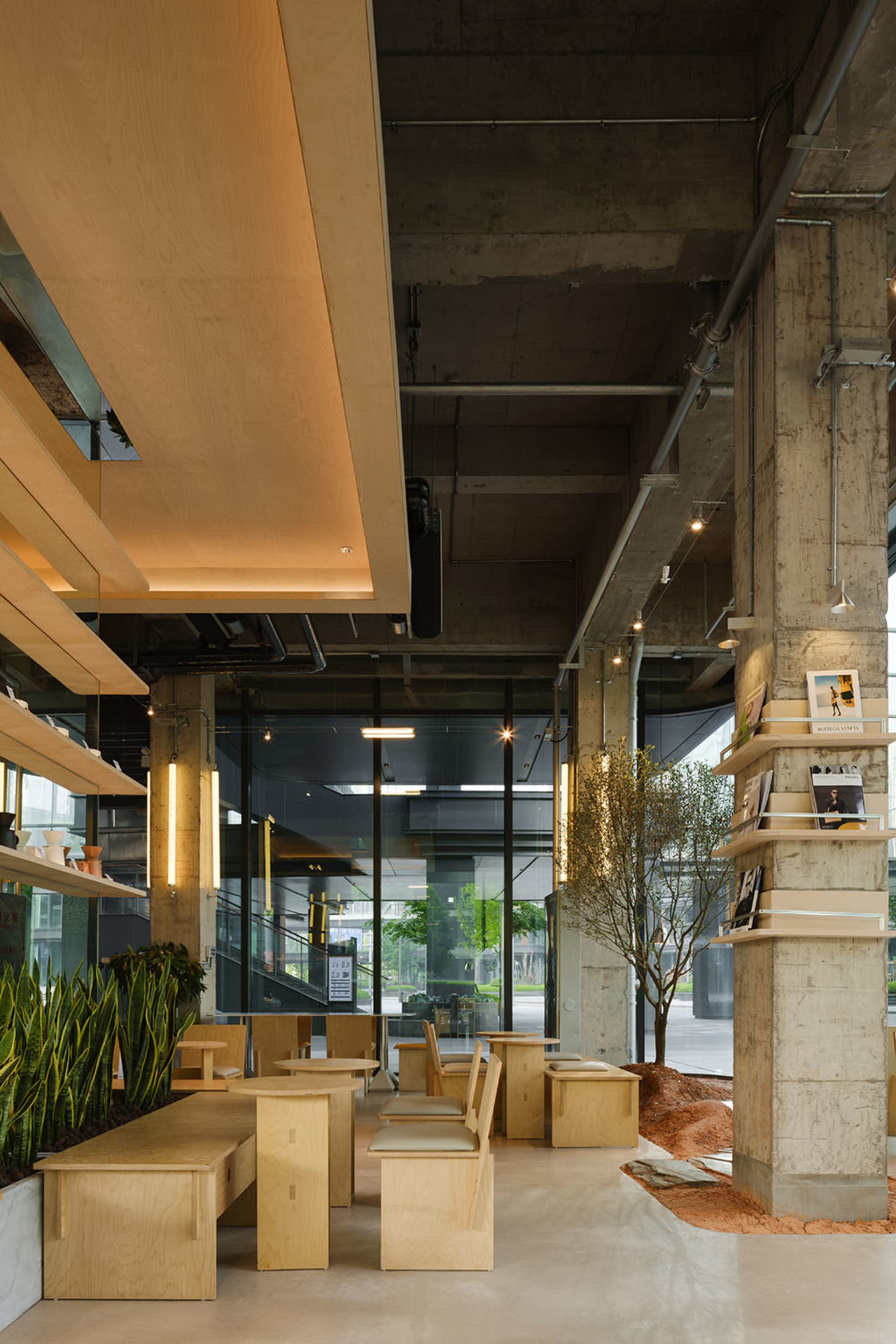 Warm and inviting restaurant with wooden furniture, natural light, and artificial lighting, adorned with books on the walls