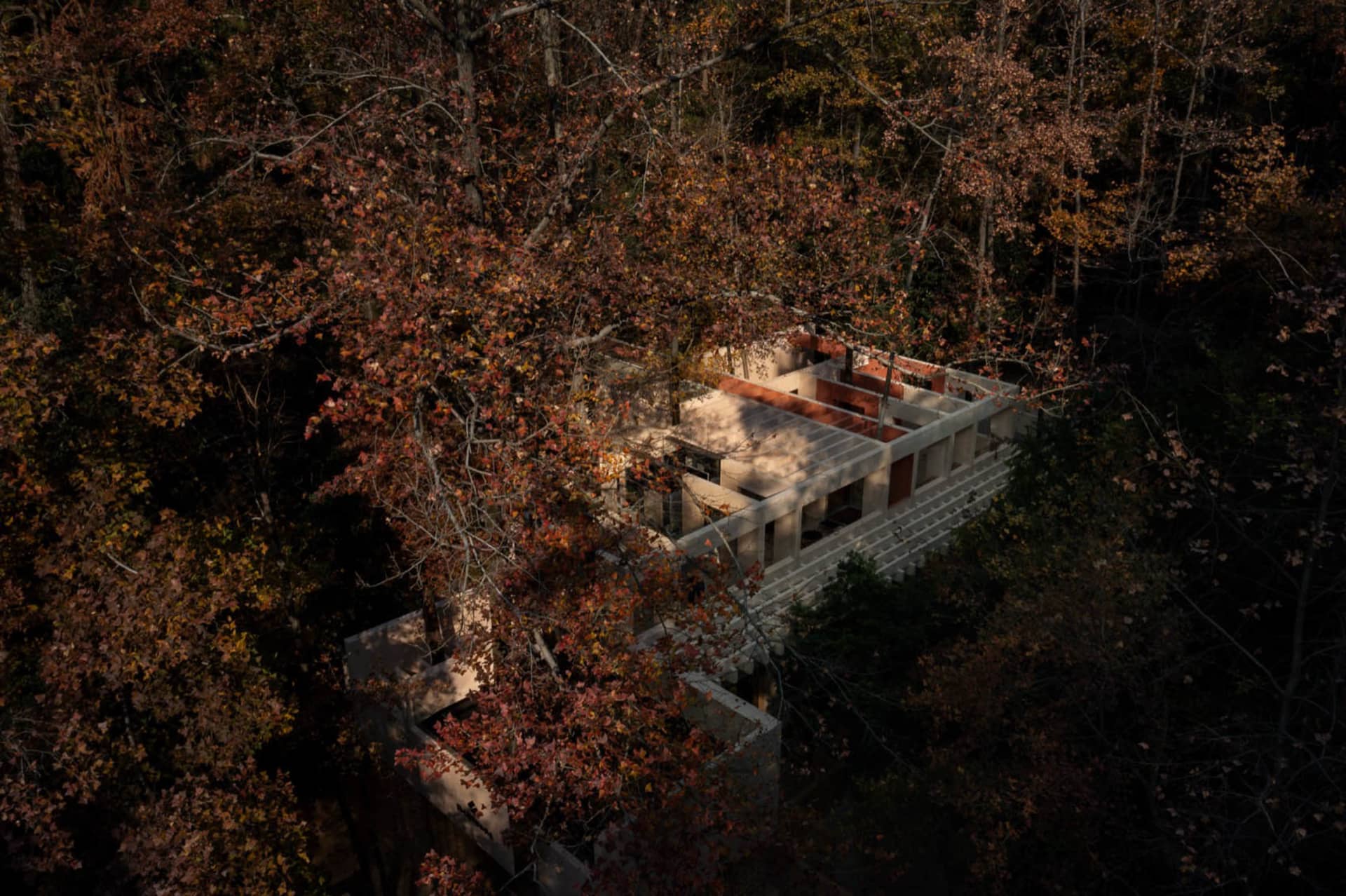 A small, rustic building with a brick exterior surrounded by trees, with natural light streaming in through the windows