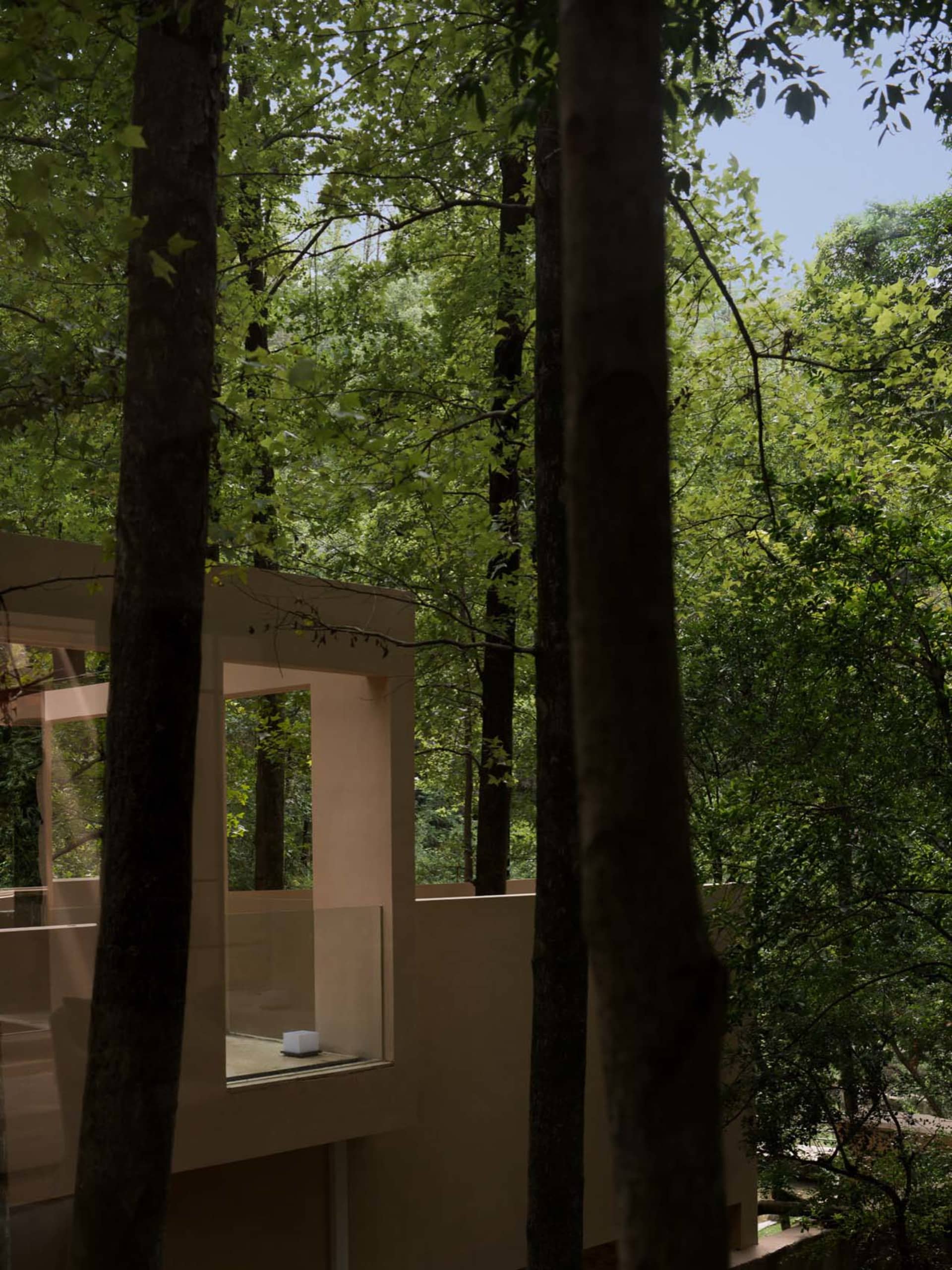 A serene modern building with a glass wall surrounded by trees, blending with its natural environment