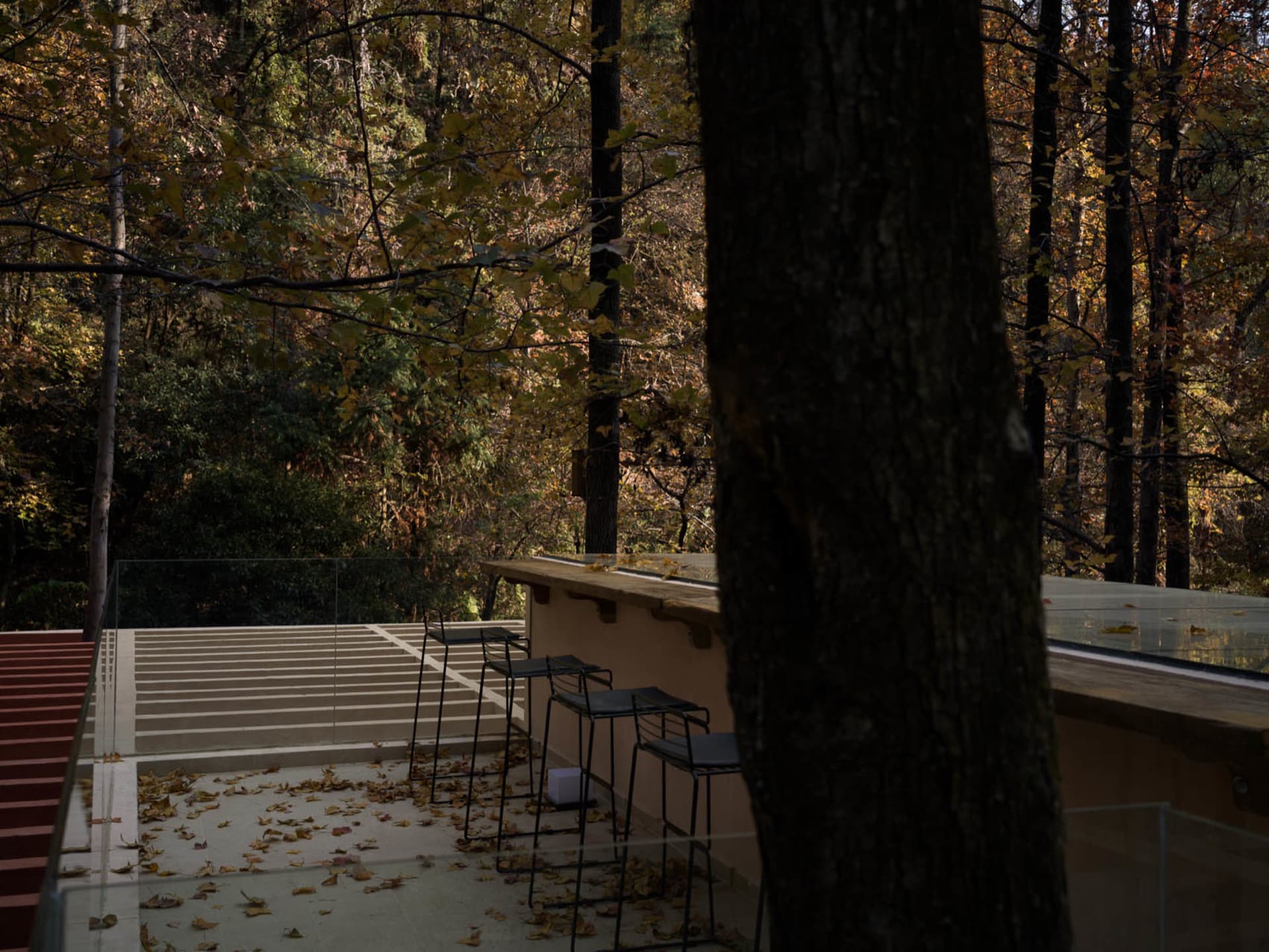 A serene outdoor seating area with a table and chairs surrounded by a tree, creating a peaceful atmosphere