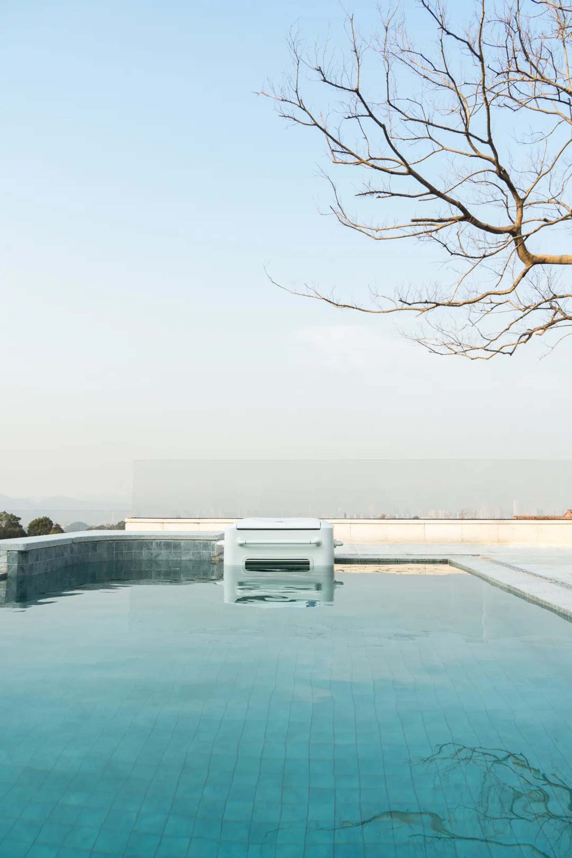 A serene pool scene with a tree branch overhead, surrounded by a deck and a bench, set against a residential backdrop