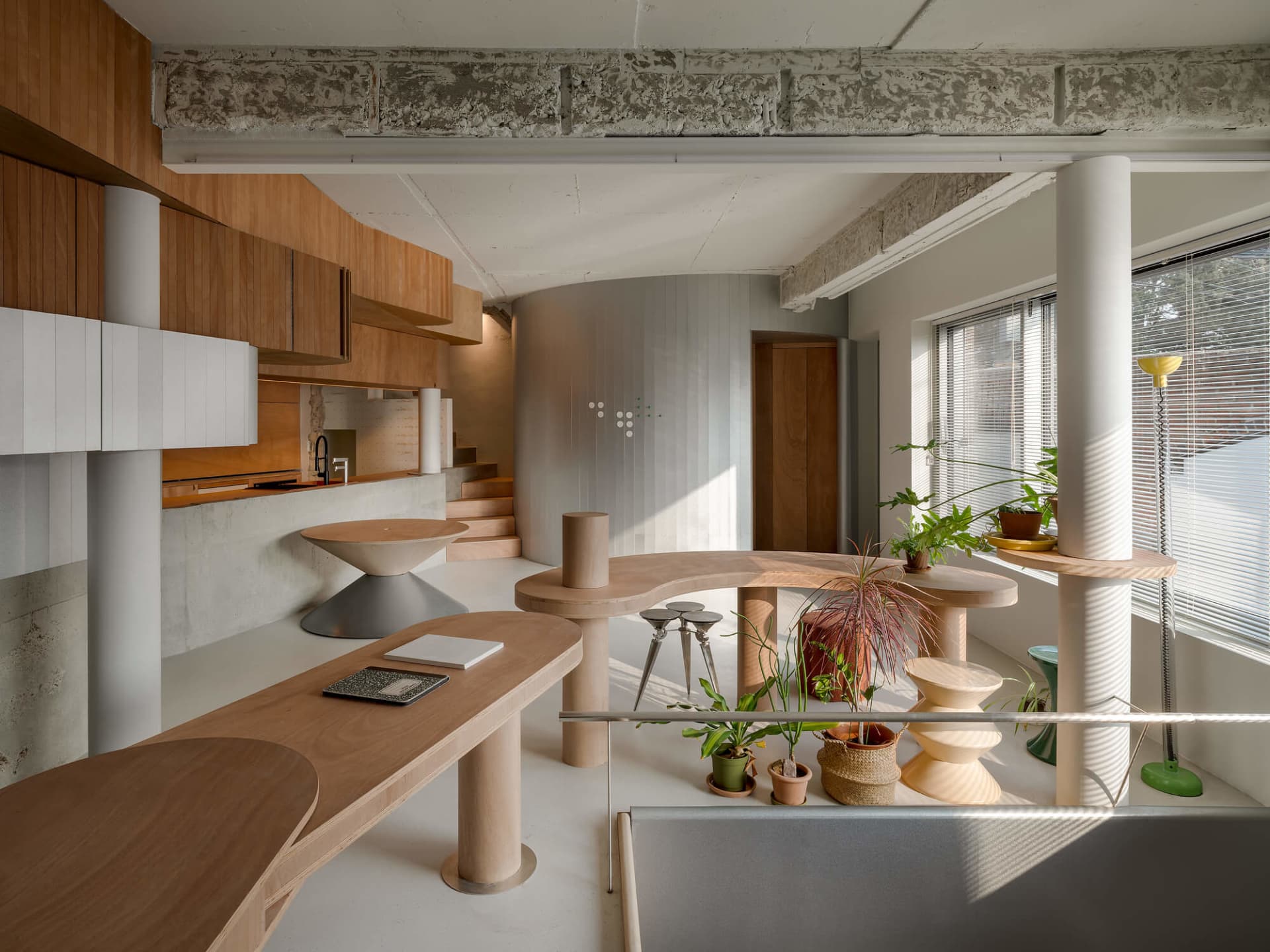 Modern kitchen and living room area with wooden floor, white and grey walls, and natural light from windows, featuring a sink, dining table, couch, and potted plant
