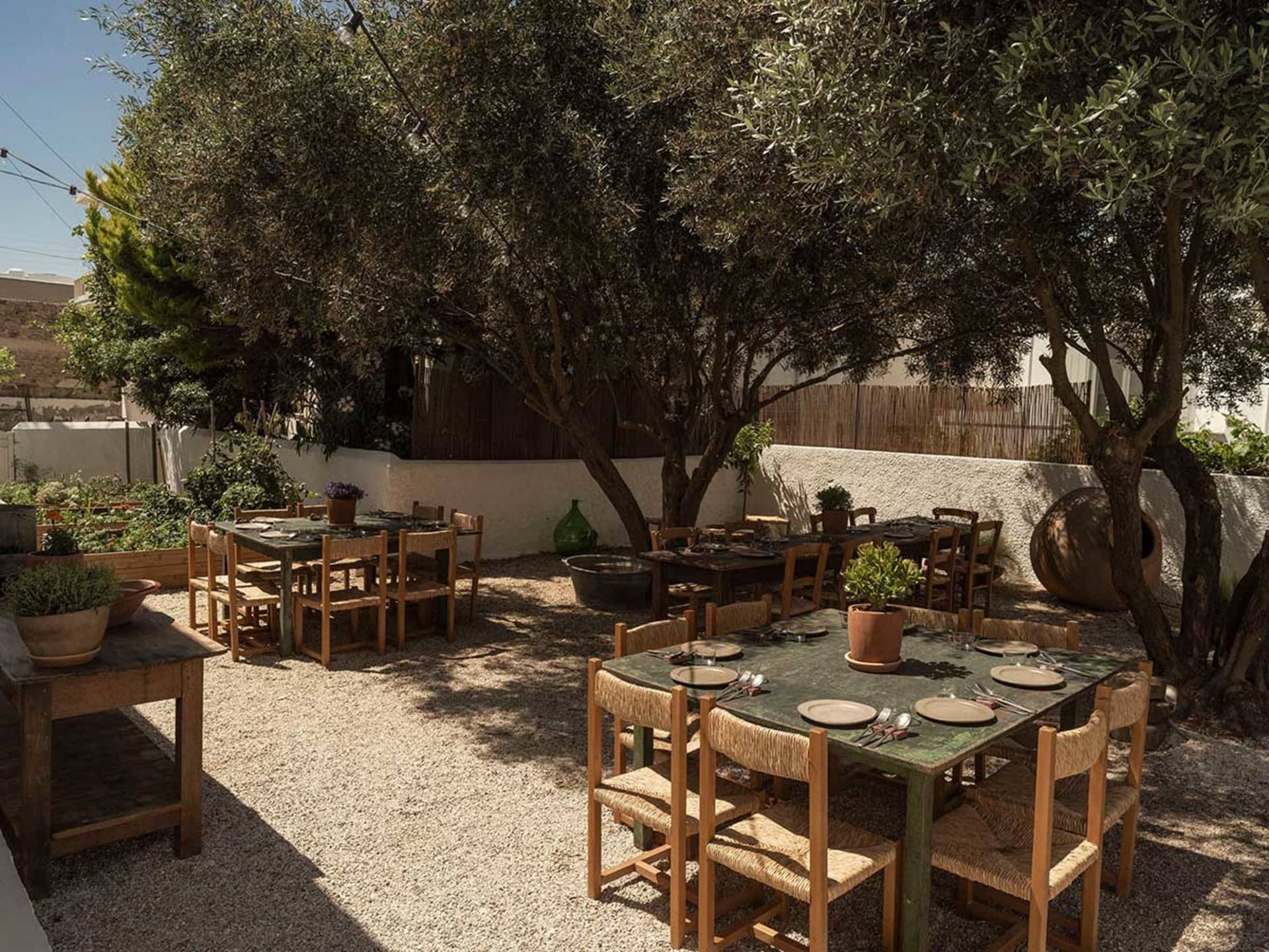 Sunny outdoor dining area with wooden tables, woven chairs, olive trees, and gravel ground in a Mediterranean courtyard.