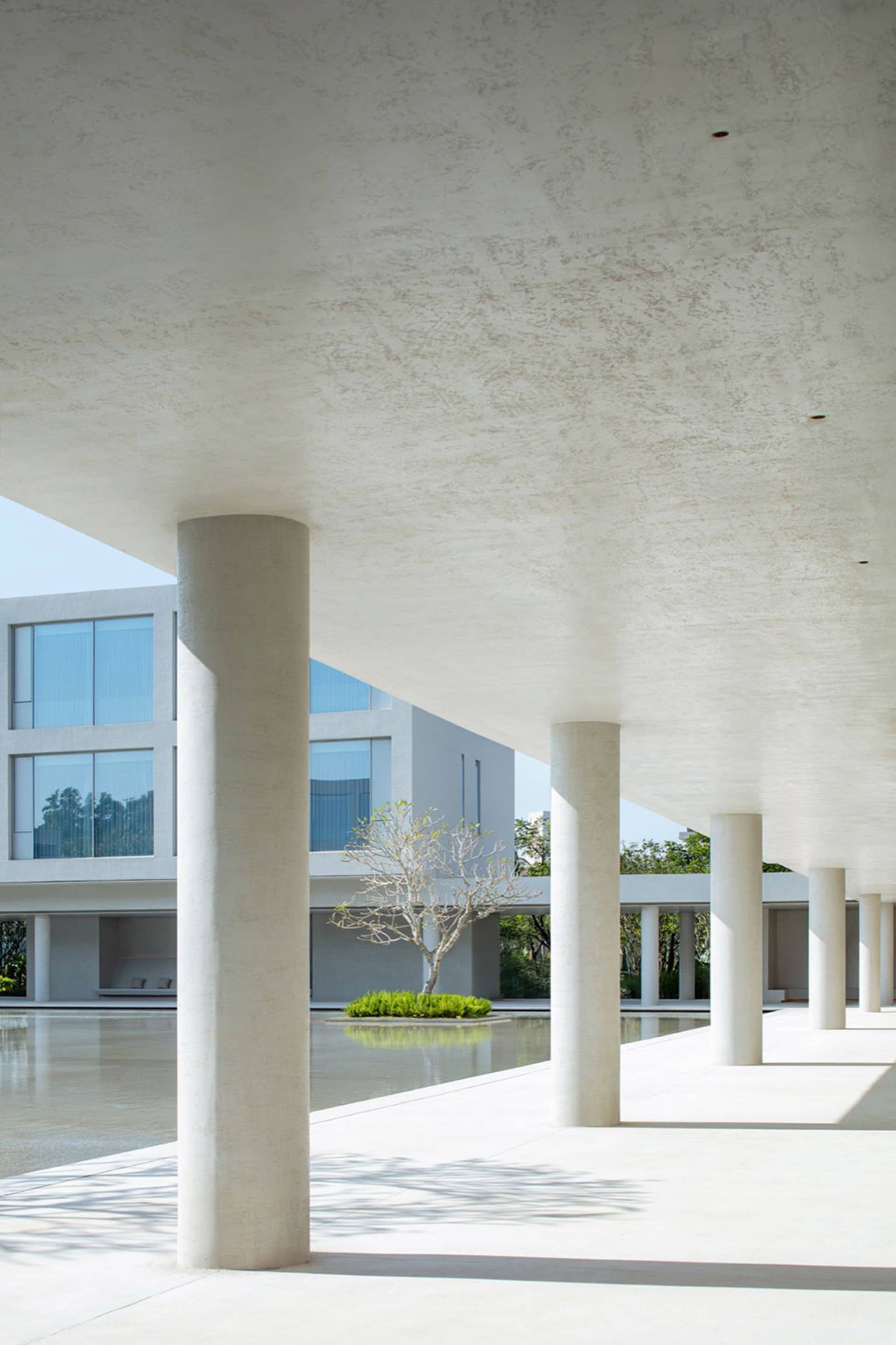 Modern concrete colonnade with cylindrical pillars, smooth concrete ceiling, and a shallow reflecting pool containing a small tree and greenery in a minimalist courtyard.