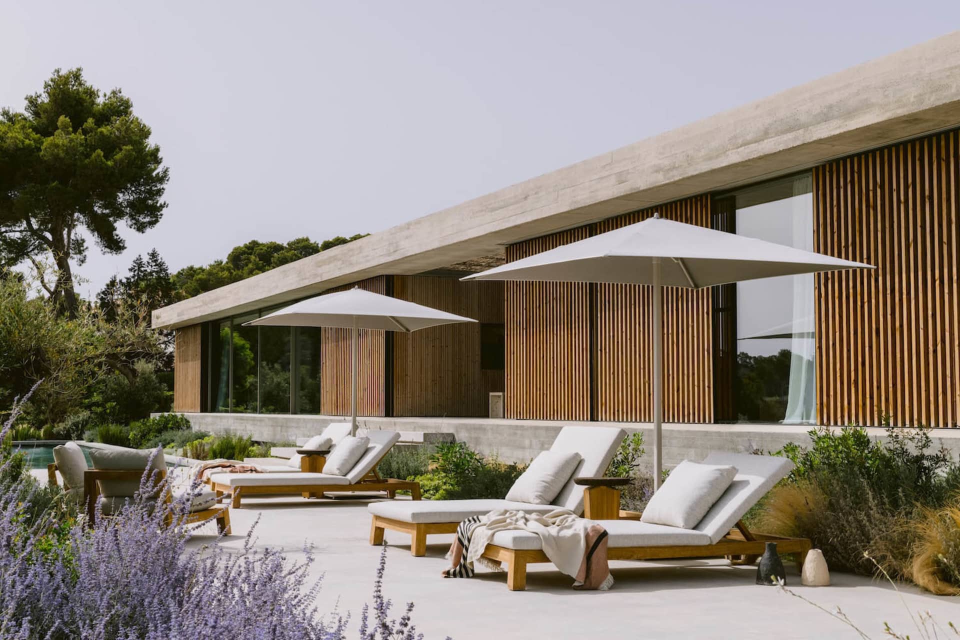 Modern concrete villa with vertical timber cladding, featuring multiple teak lounge chairs with white cushions and large white umbrellas on a spacious concrete terrace surrounded by lavender and Mediterranean landscaping.