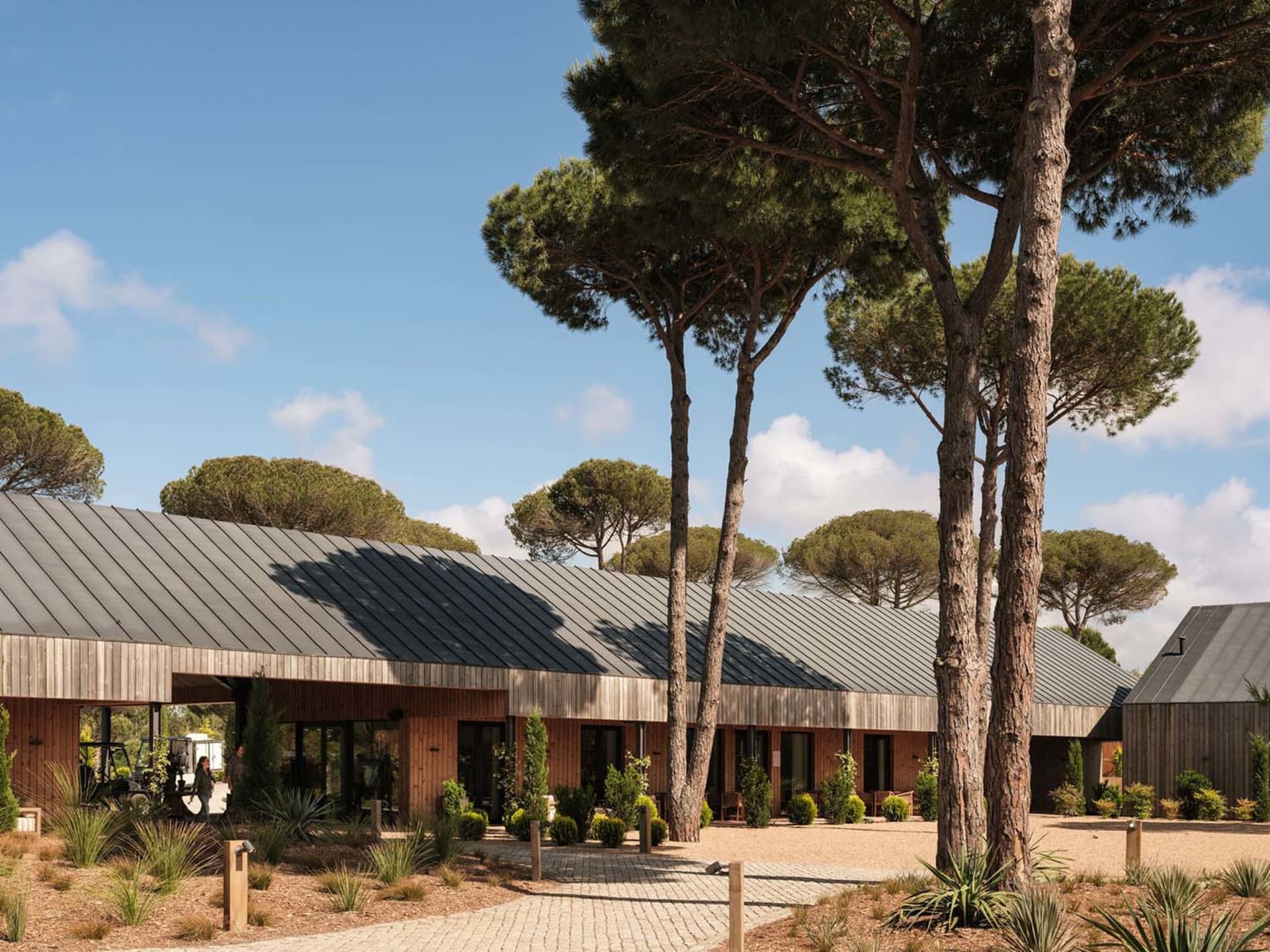 Modern single-story wooden resort buildings with dark metal roofs, surrounded by tall pine trees and drought-tolerant landscaping on a sunny day.
