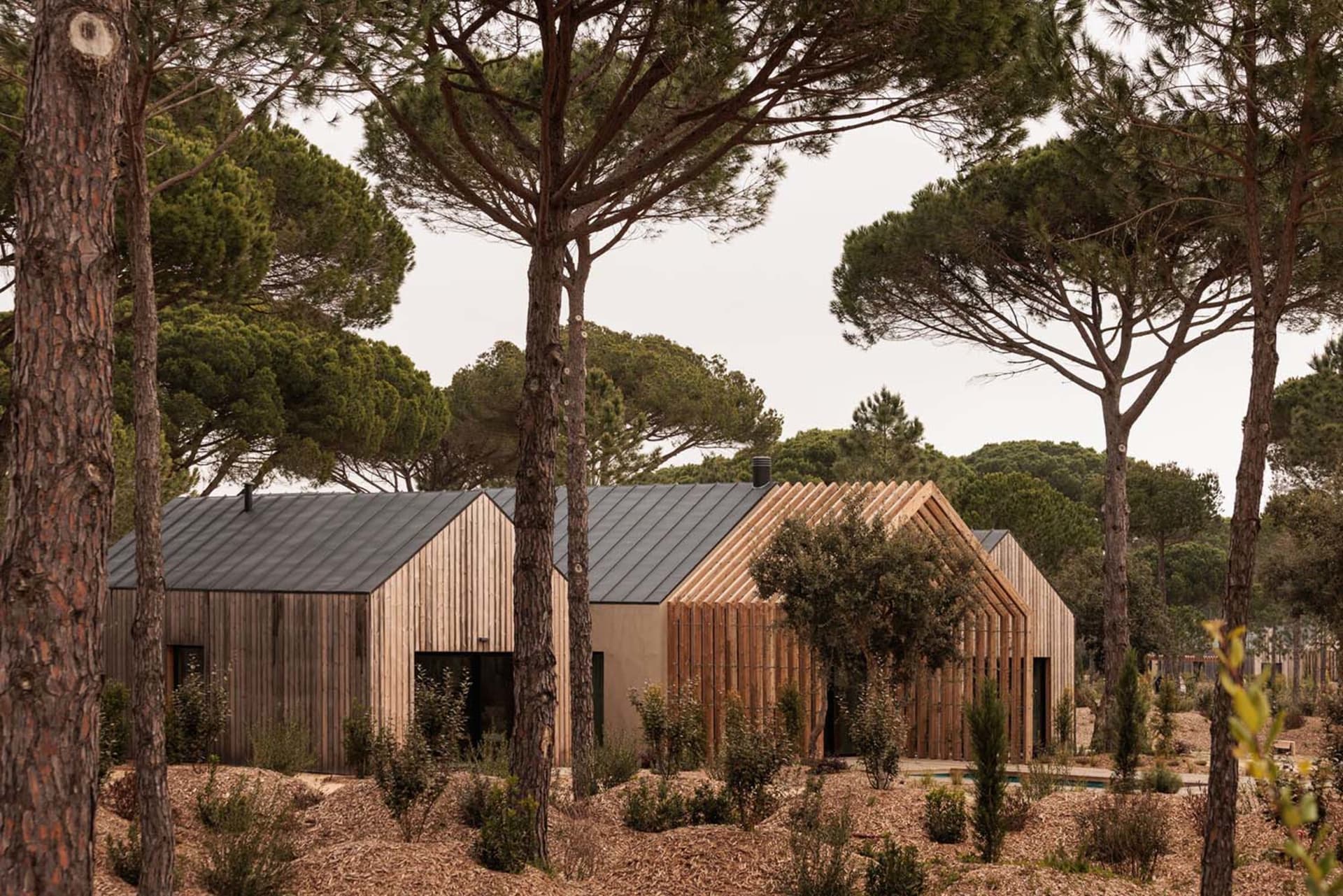 Modern wooden cabin with vertical timber cladding and dark metal roof, surrounded by tall pine trees in a forest setting.