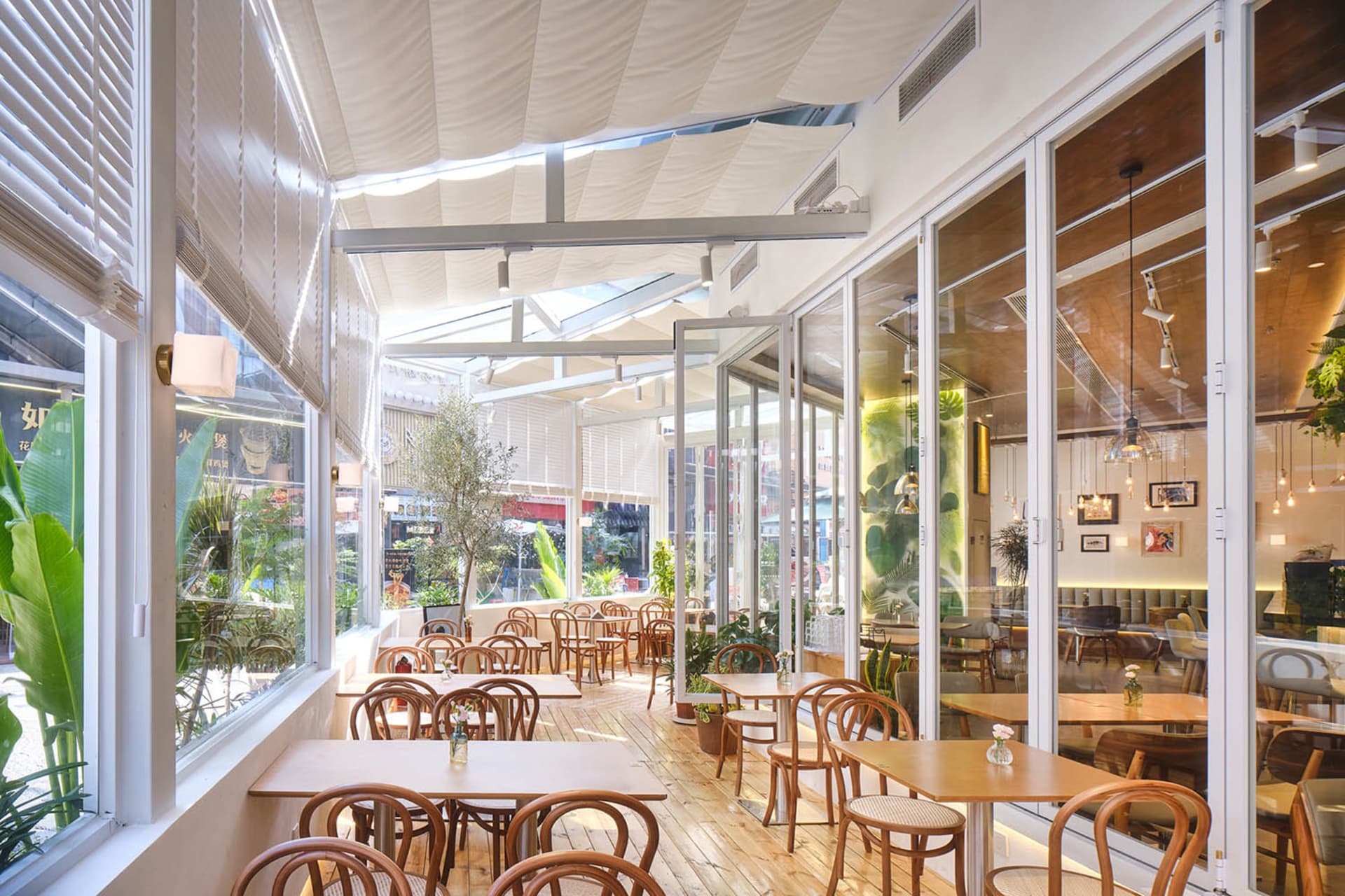 Bright modern cafe interior with natural oak furniture, bentwood chairs, large windows with roller blinds, retractable fabric skylight, and abundant indoor plants.