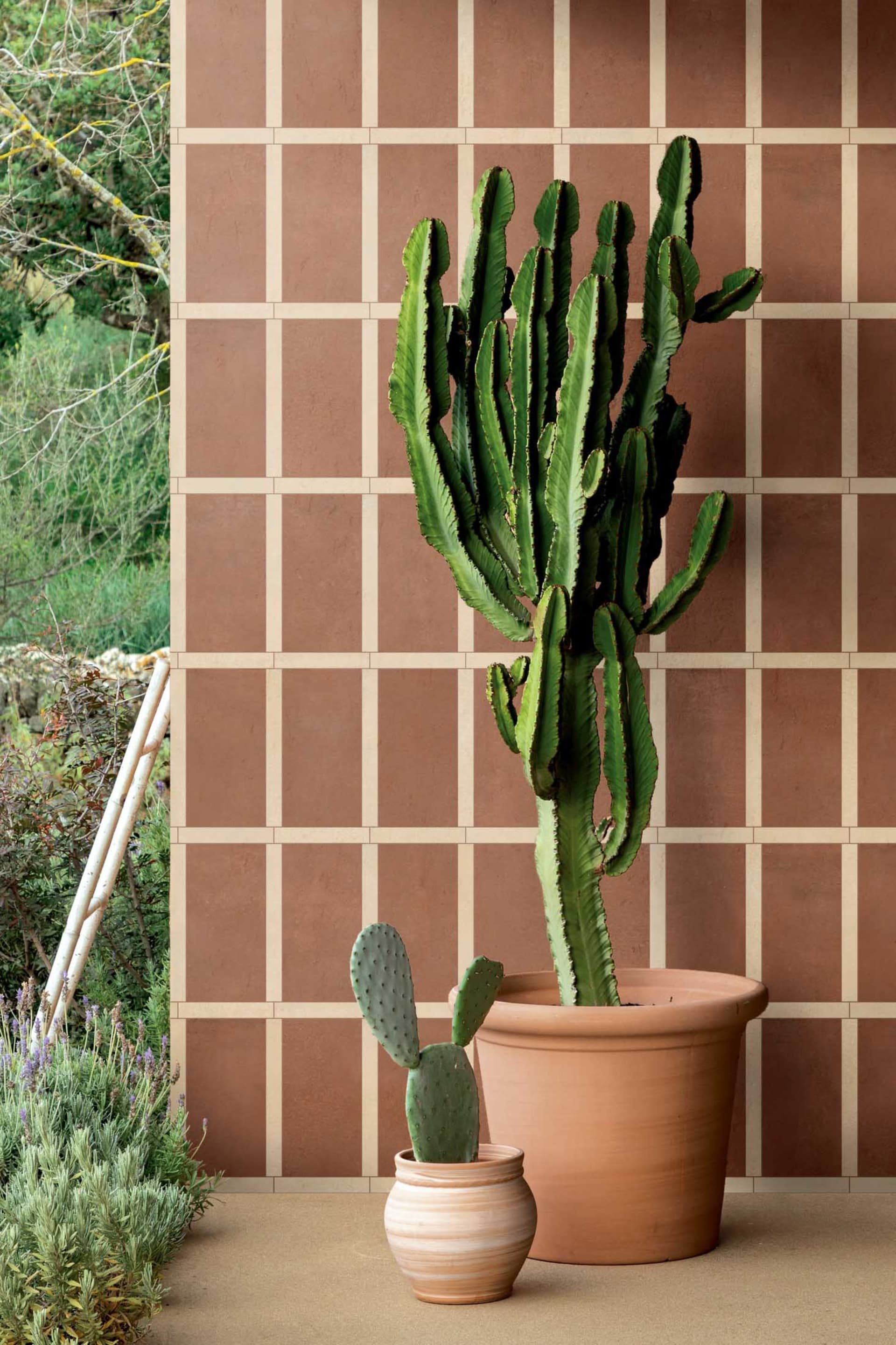 A tall green cactus in a large terracotta pot stands against a grid-patterned terracotta tile wall, accompanied by a small prickly pear cactus and fragrant Mediterranean herbs in the foreground.