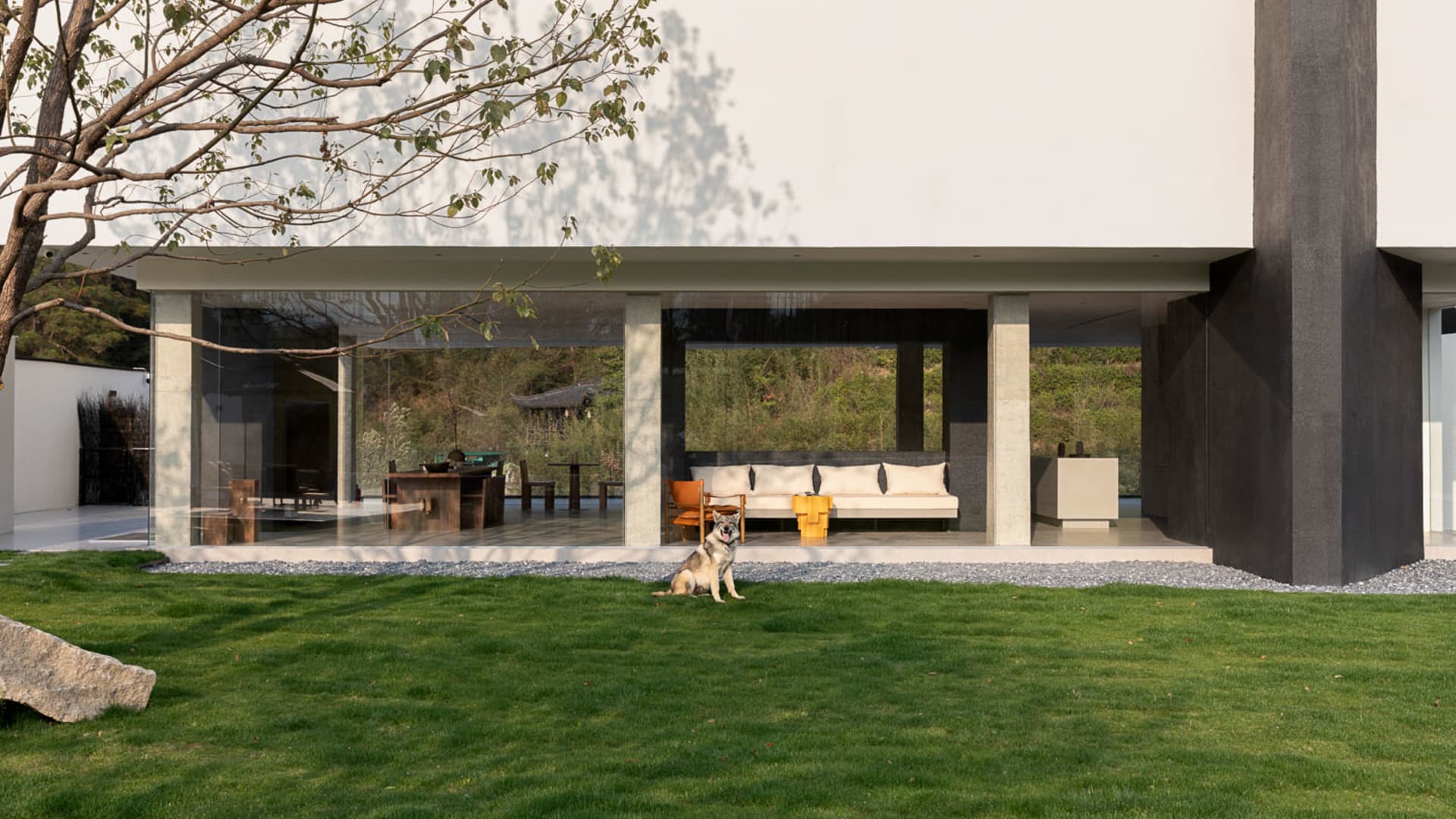 Modern concrete villa exterior featuring a large open patio with white outdoor sofa, wooden dining area, and a husky dog sitting on a green lawn in the foreground.