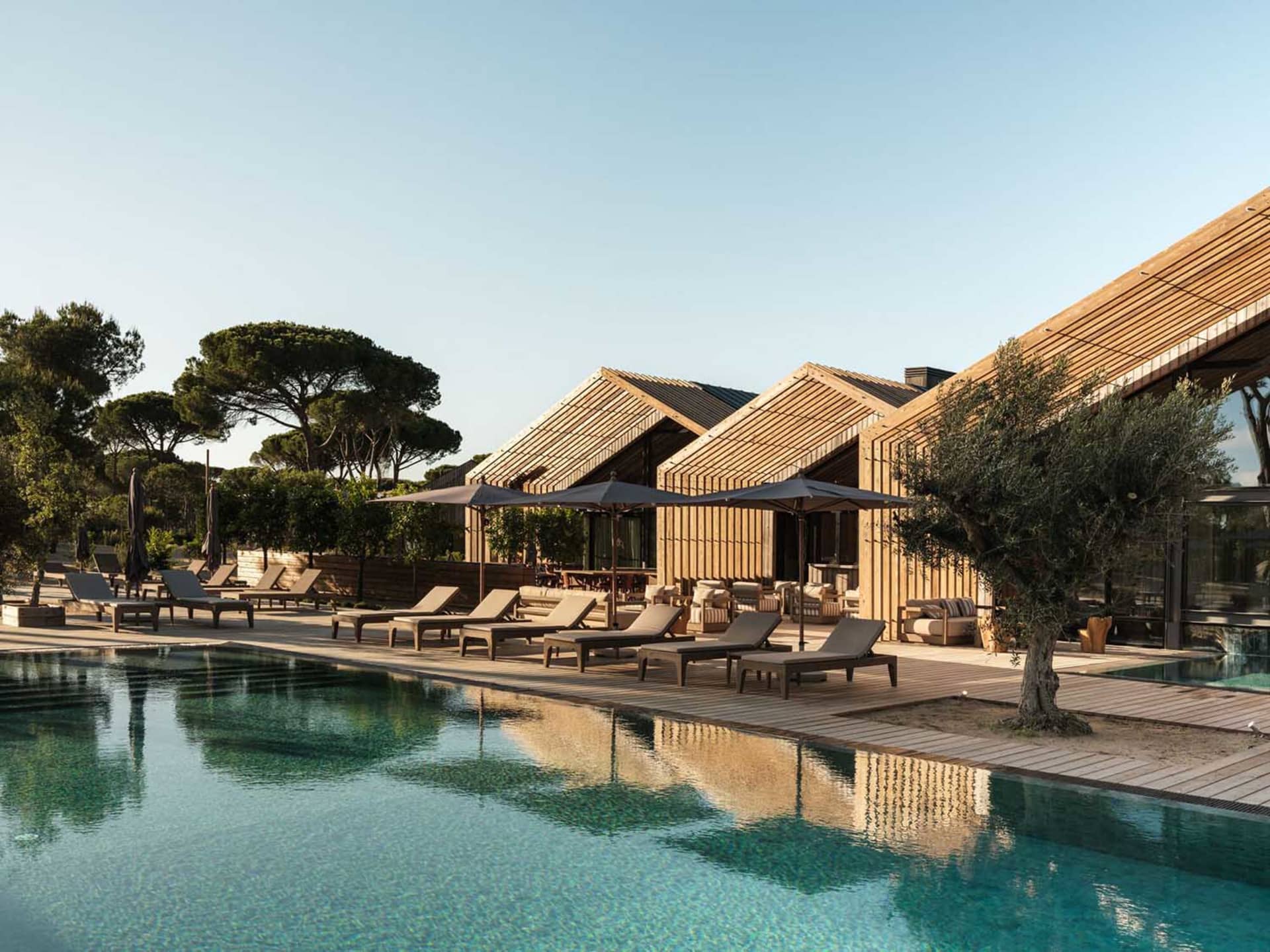 Modern wooden resort villas with slatted cladding overlooking a clear swimming pool lined with beige lounge chairs and black umbrellas at sunset.