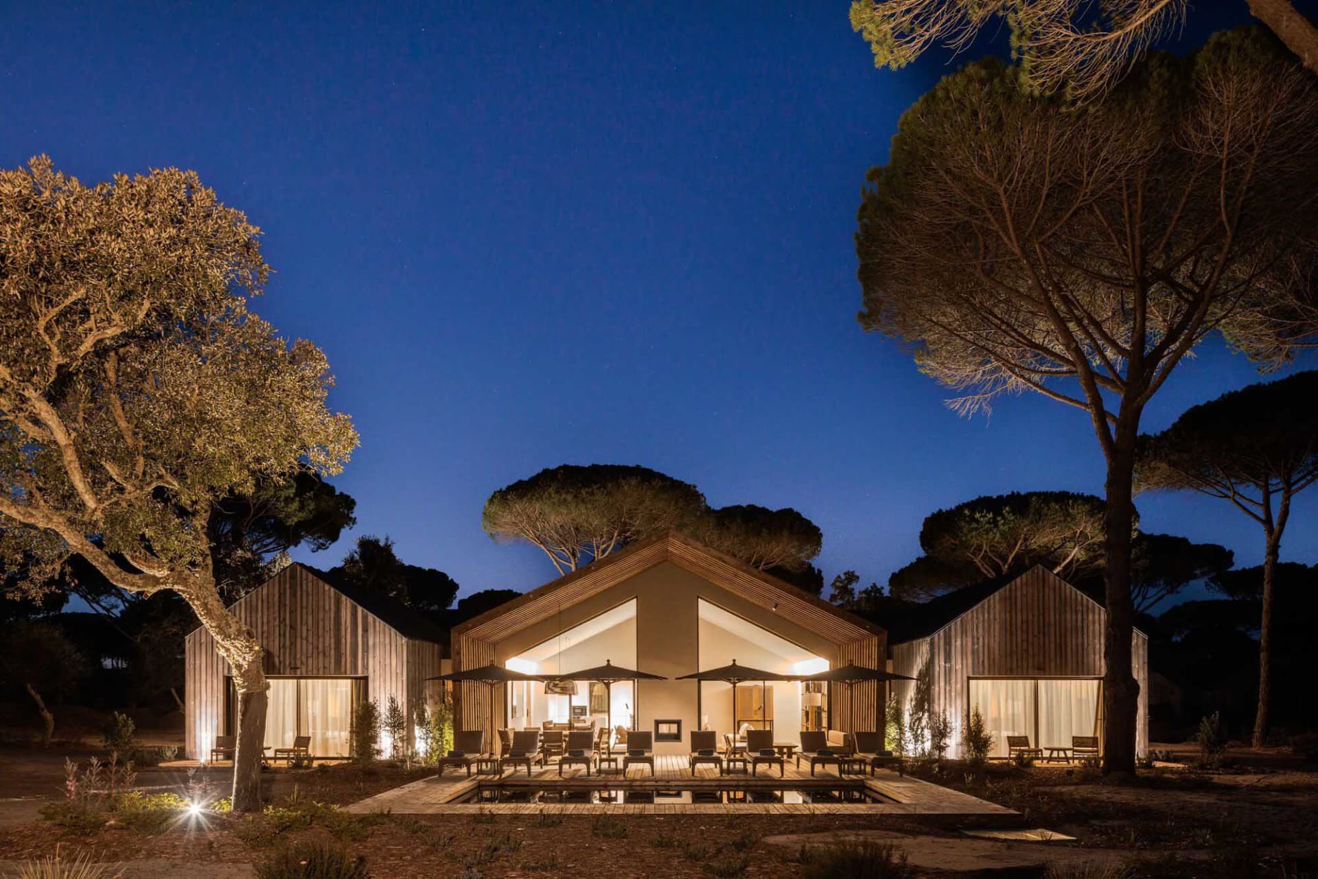 Night view of a modern villa featuring extensive wood cladding, a large illuminated wooden deck with outdoor furniture and umbrellas, surrounded by tall pine trees under a starry twilight sky.