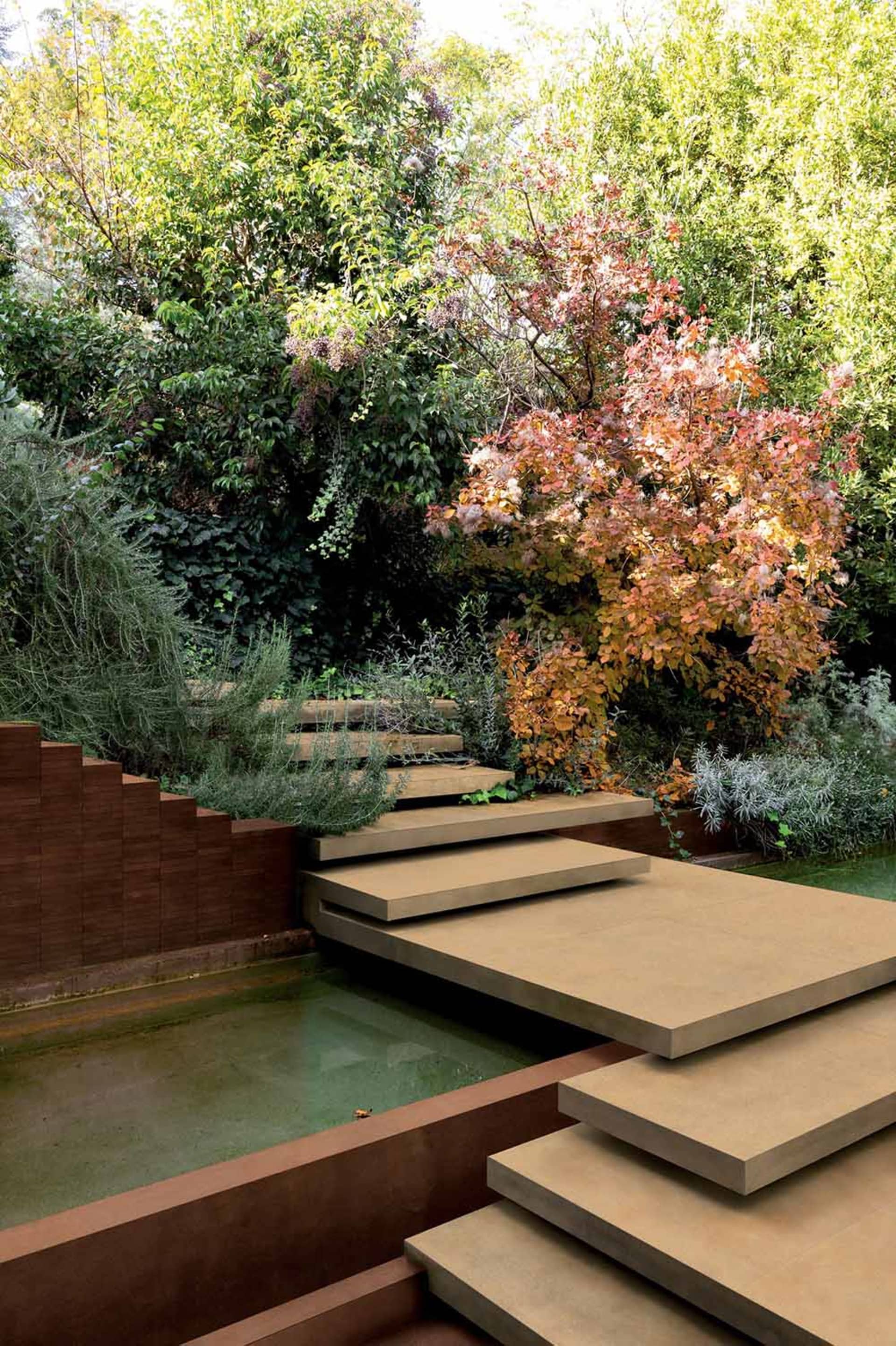 Modern concrete stepped terrace with reflecting pool surrounded by dense green and autumn-colored trees and shrubs in a lush garden.