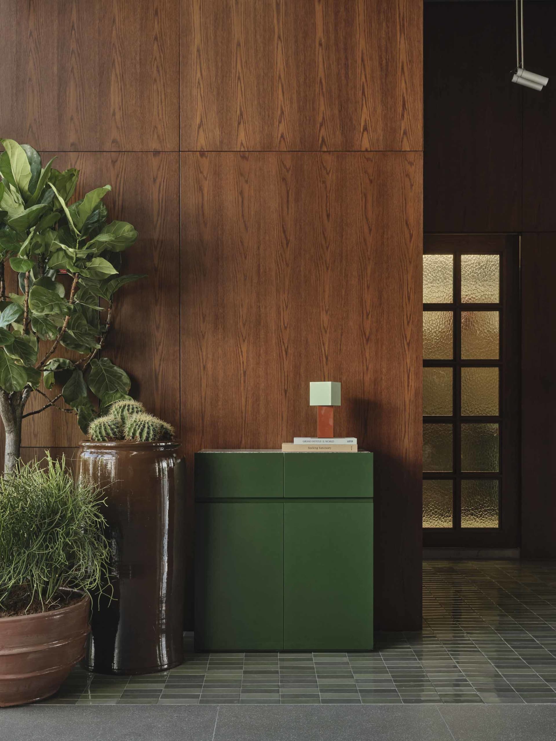 Modern entryway featuring a forest green two-door console cabinet, warm walnut wood paneling, a large fiddle leaf fig tree in a brown ceramic pot, and dark tiled flooring.