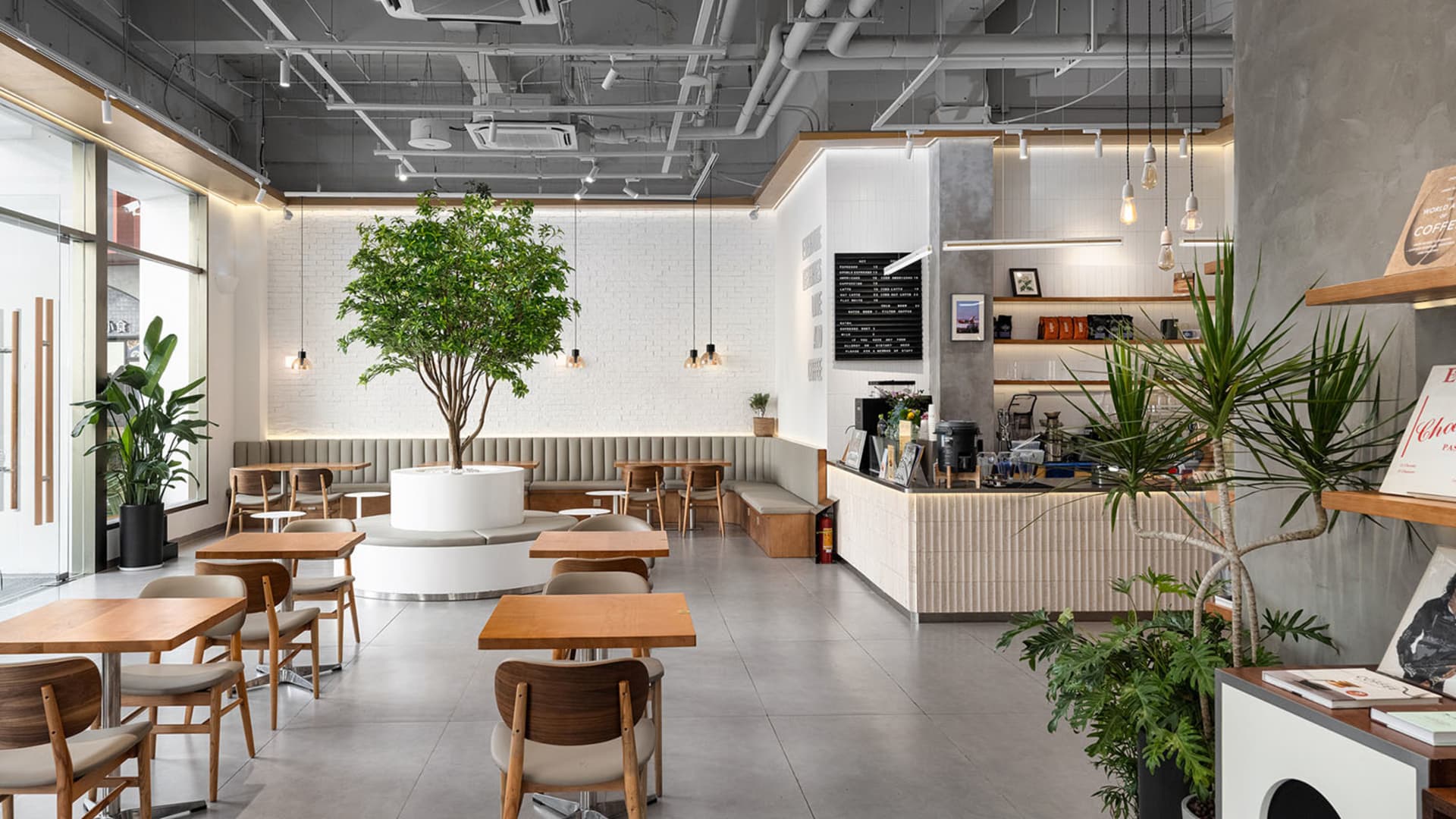 Modern industrial-style cafe interior with a large potted tree in the center, wooden tables and chairs, concrete walls, and pendant lighting.