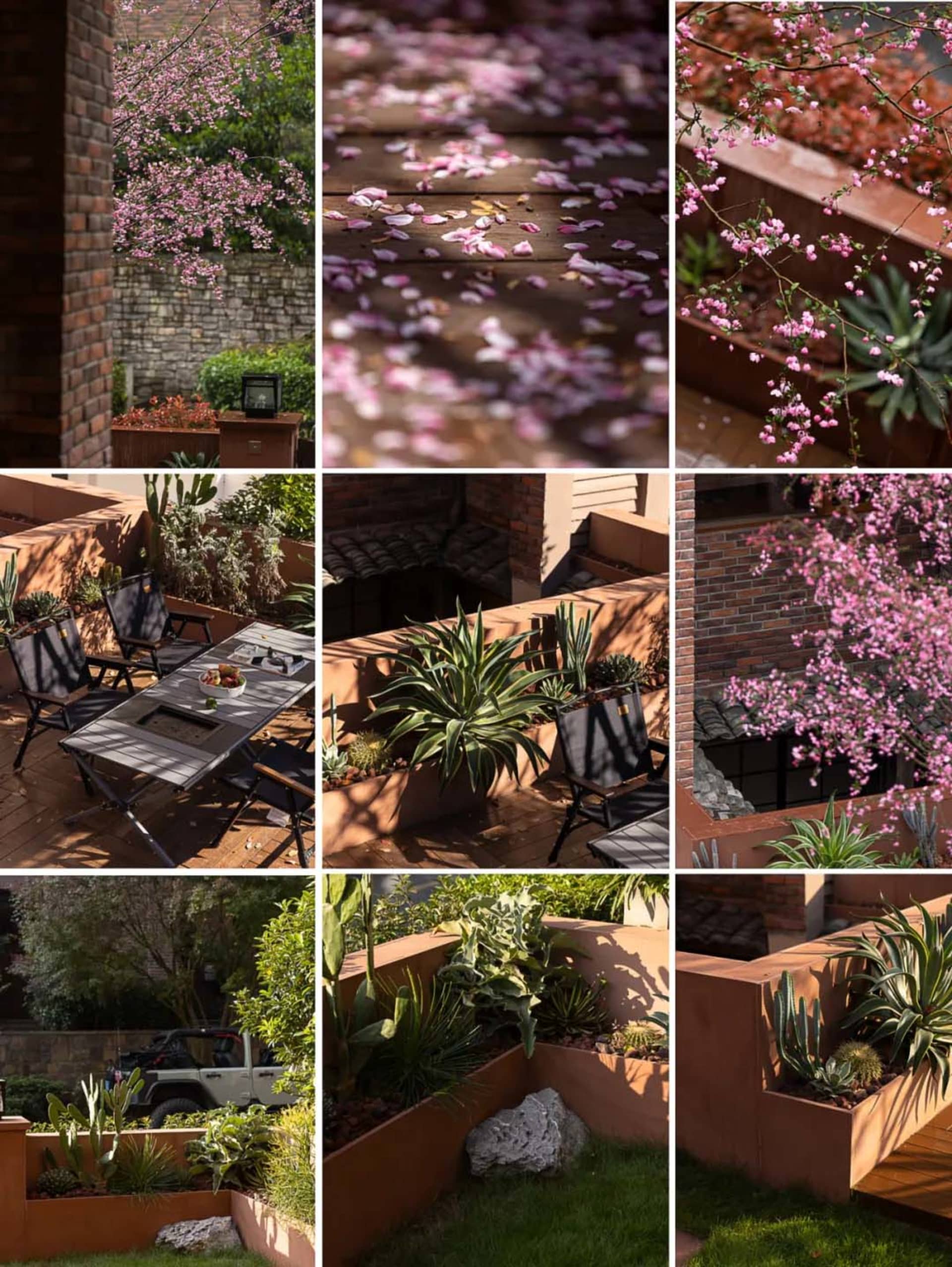Collage of a contemporary outdoor courtyard featuring terracotta planters, wooden decking, black folding chairs, a fire-pit dining table, and abundant pink flowering trees against brick walls.
