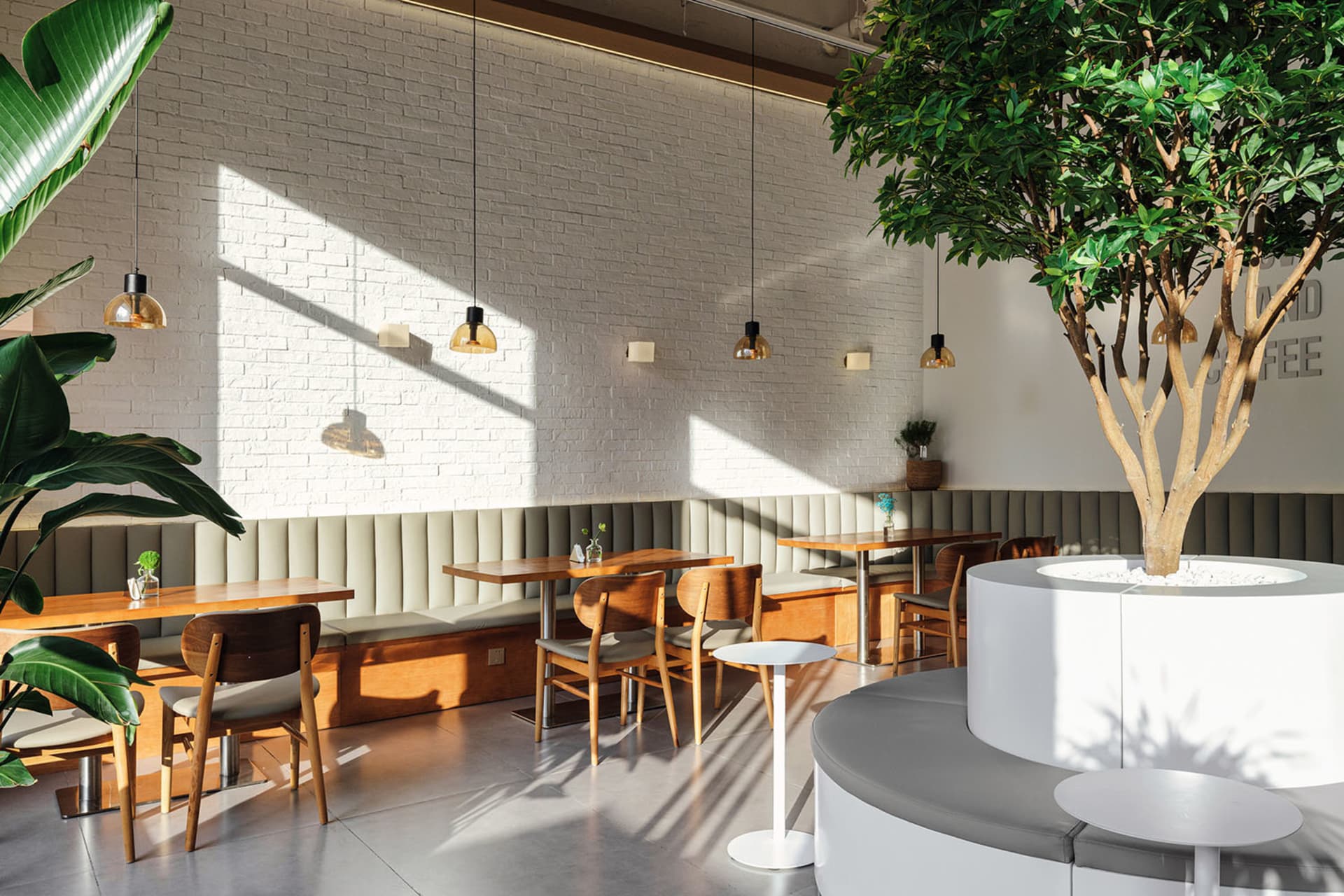 Bright modern cafe interior with white painted brick wall, wooden tables and chairs, upholstered banquette seating, and a large circular white planter with a mature tree under warm pendant lighting.